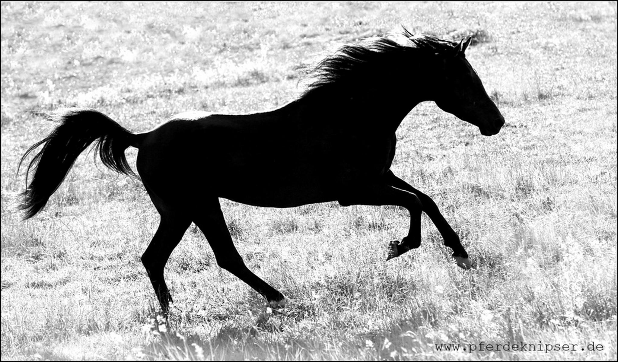 Im gegenlicht 6000177925 o