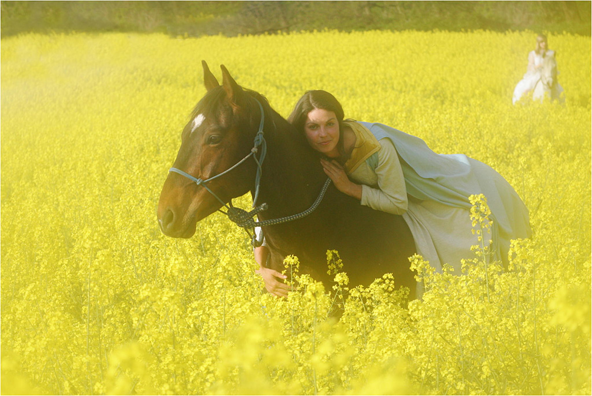 Im rapsfeld 03 6000849622 o