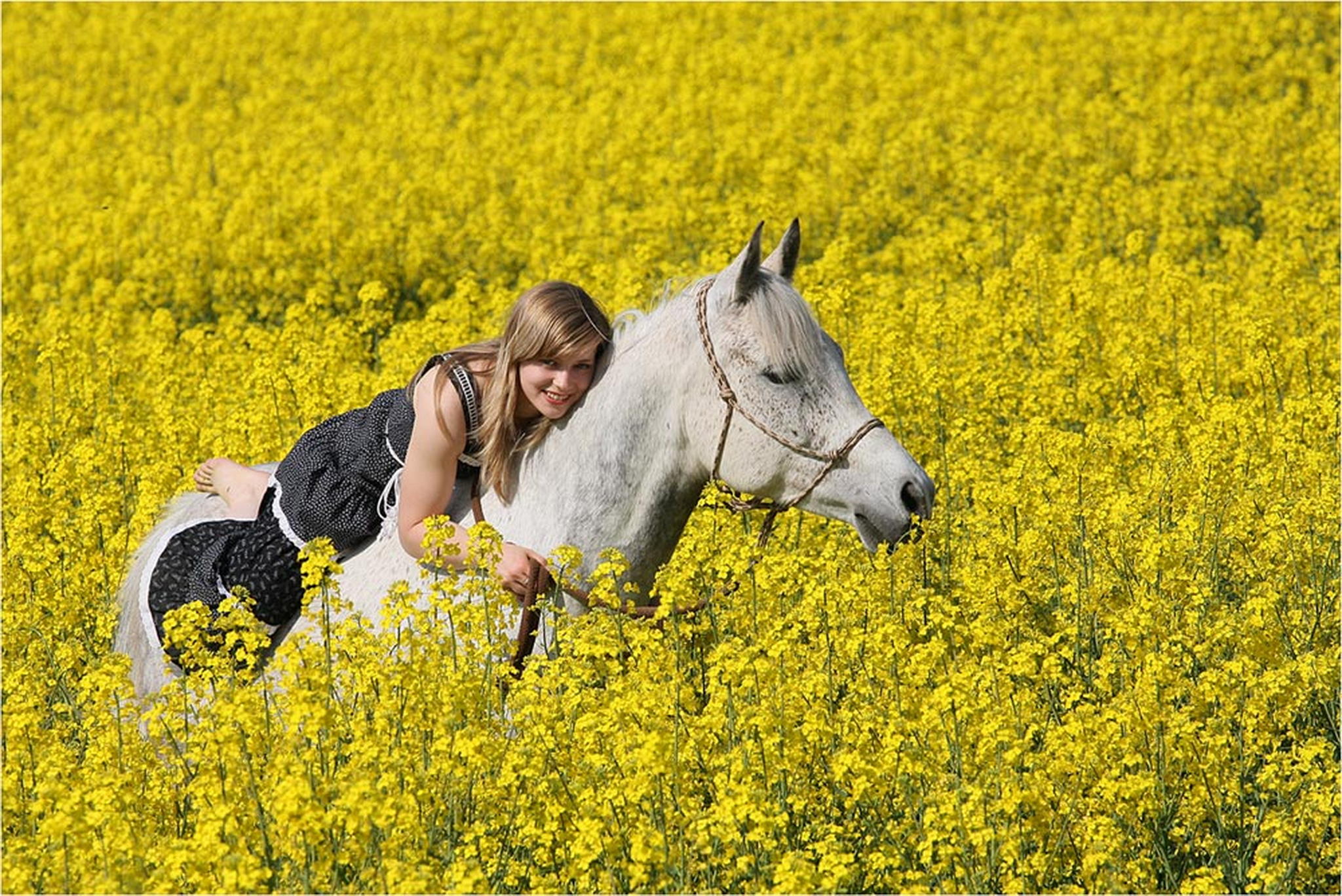 Im rapsfeld 05 6000300155 o