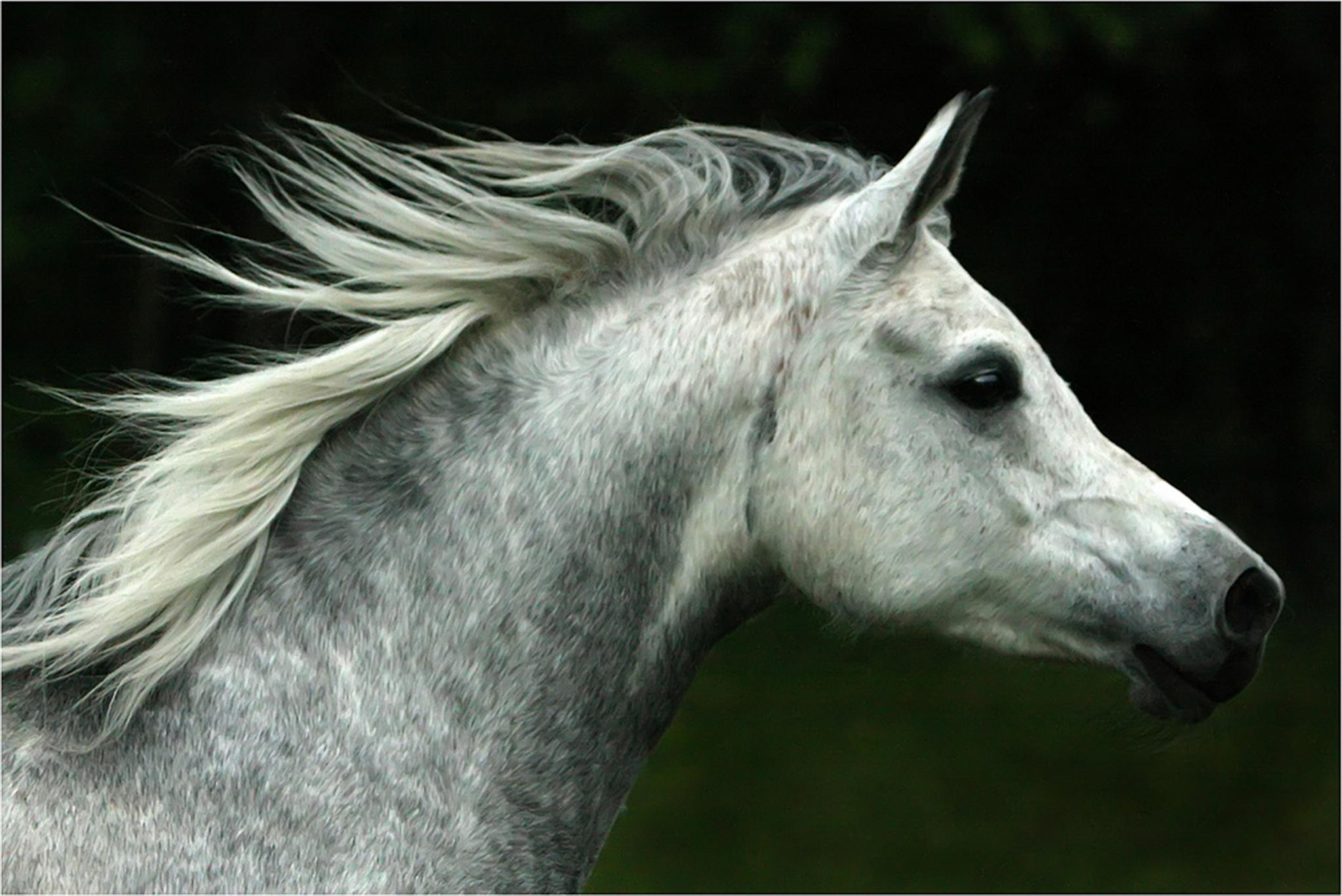 Im vorbeiflug 6000821396 o