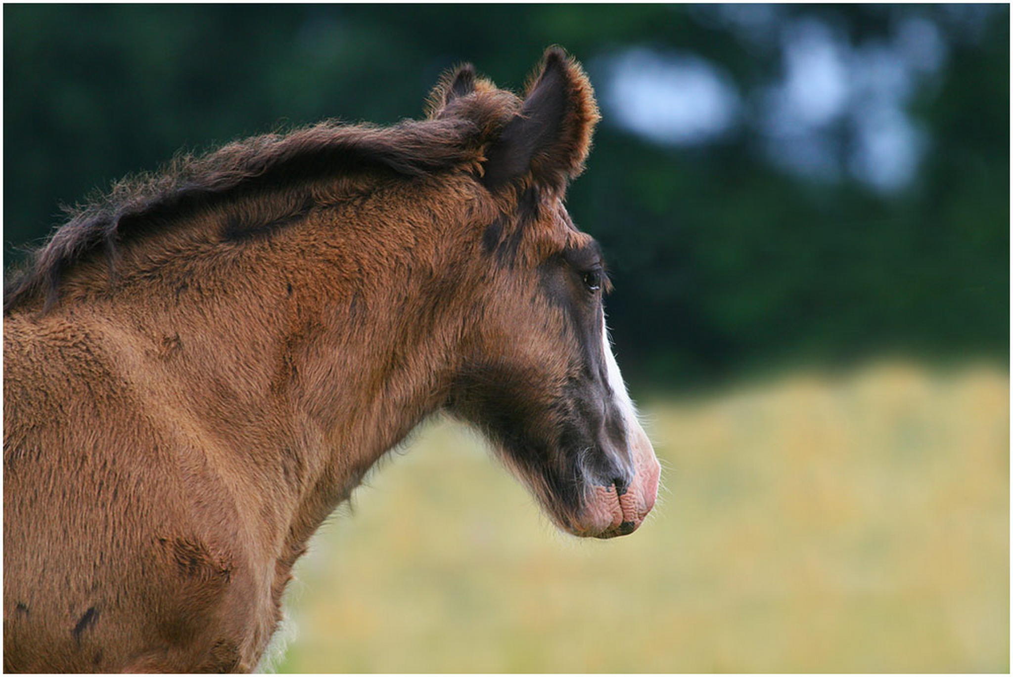 In die weite blicken 6001019794 o