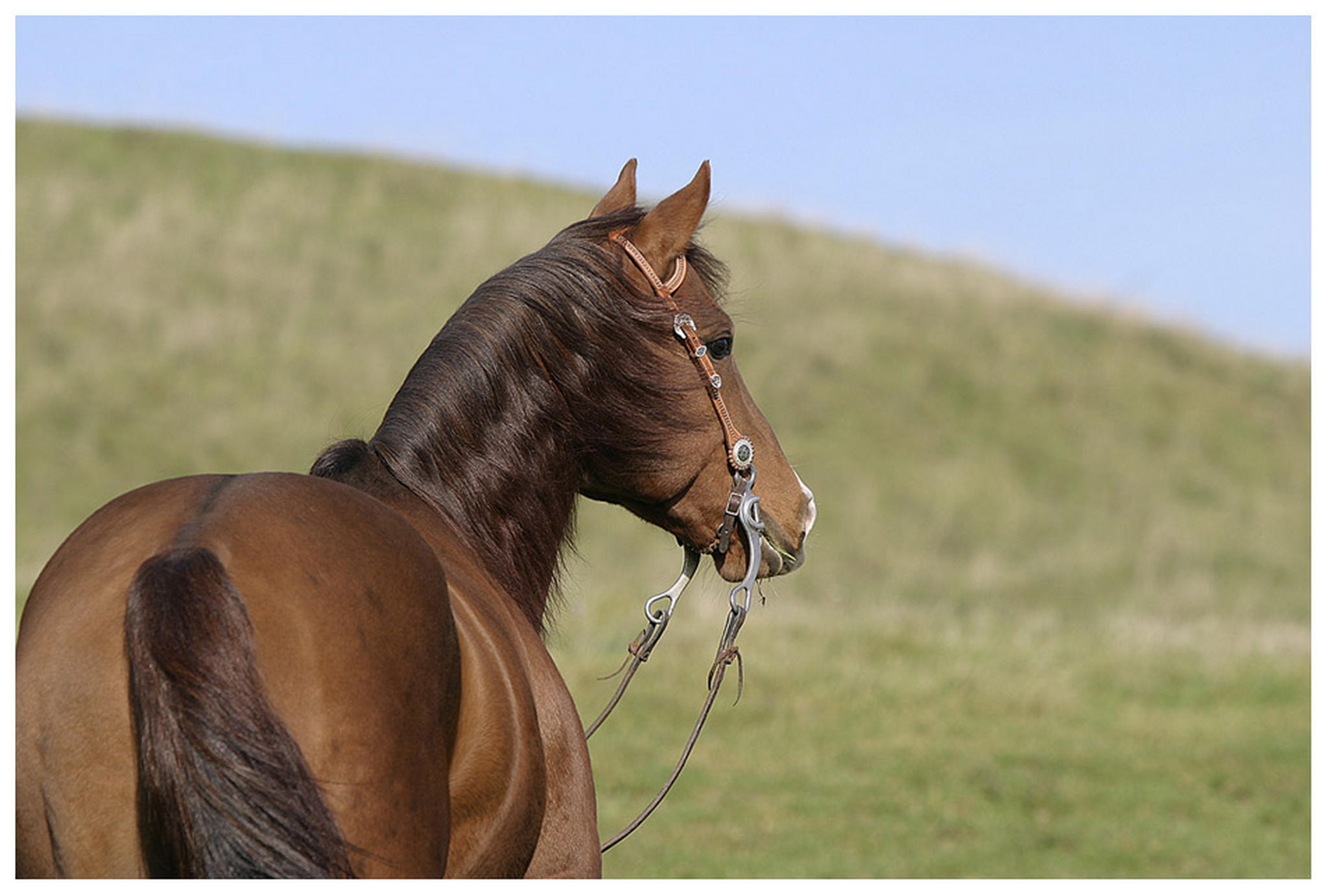 In die weite 6009283725 o