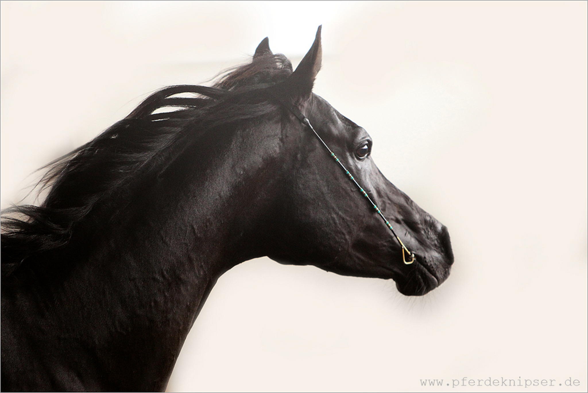 Ins licht 5999472300 o