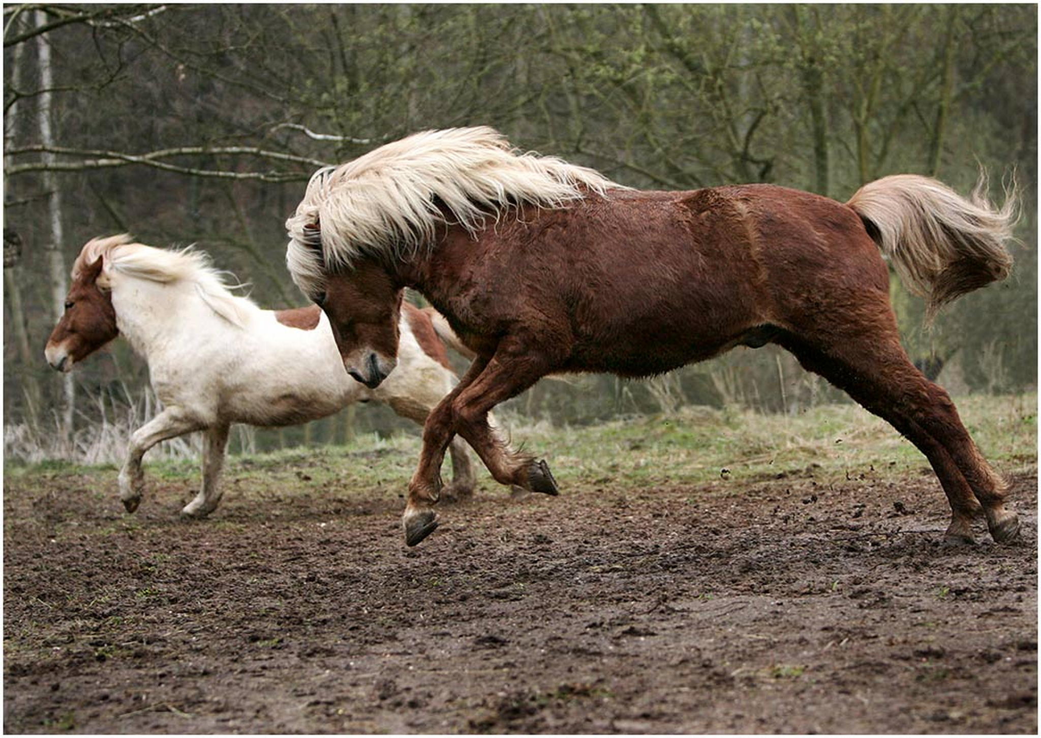 Isipower ich geb gas 6001002729 o