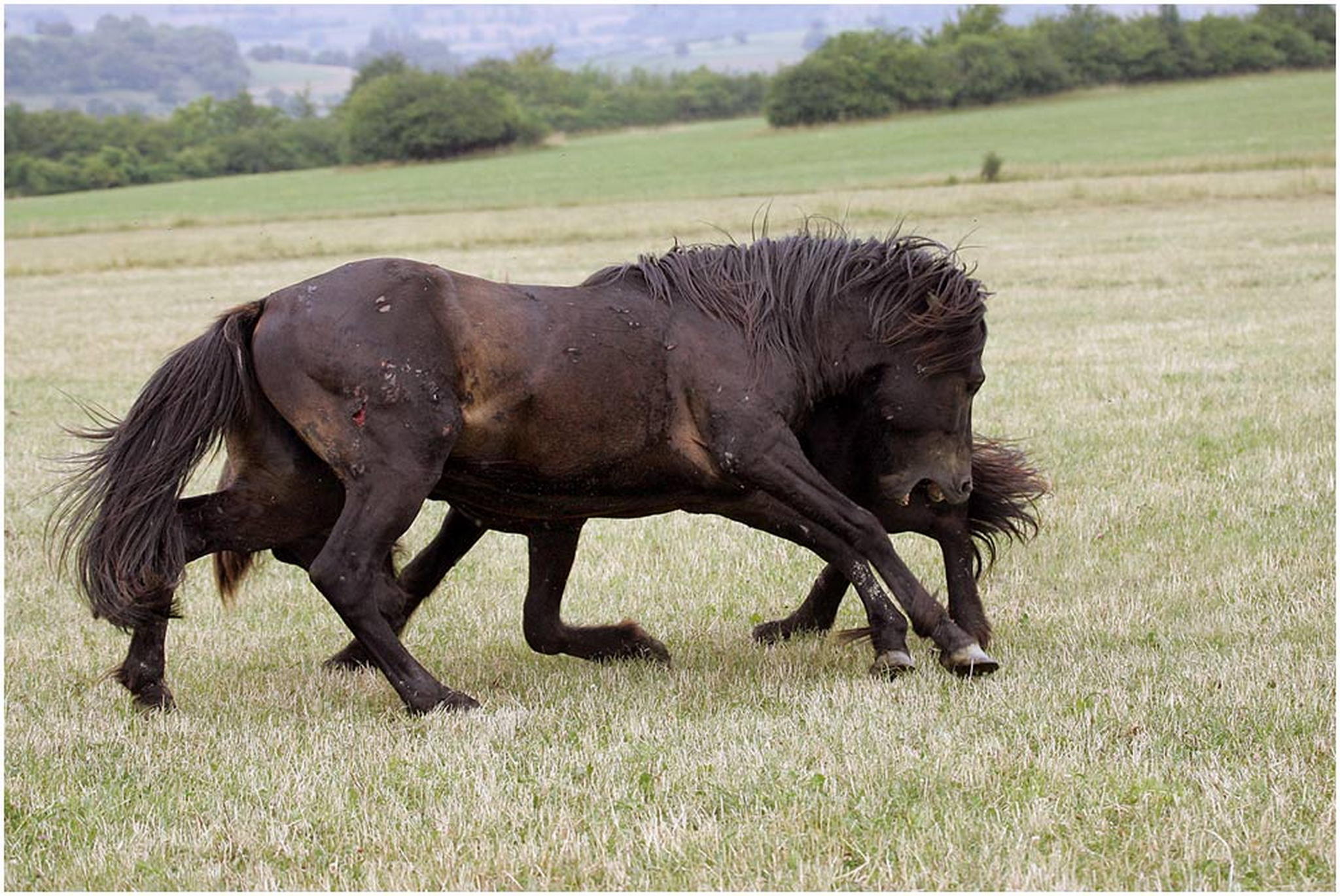 Jetzt meinen sie es ernst 6007805945 o