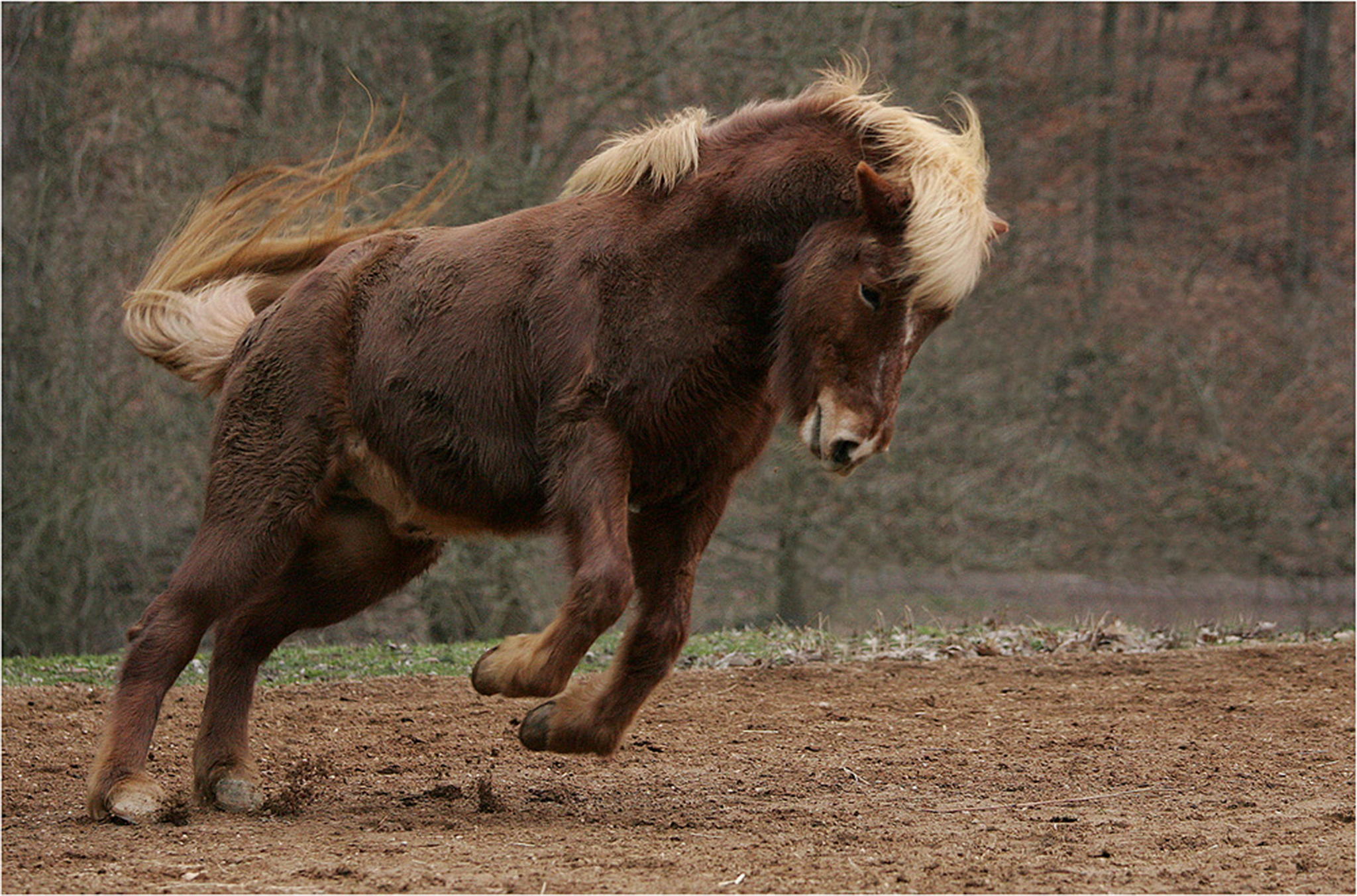 Jetzt sind die weien flecken abgefallen 6000335665 o