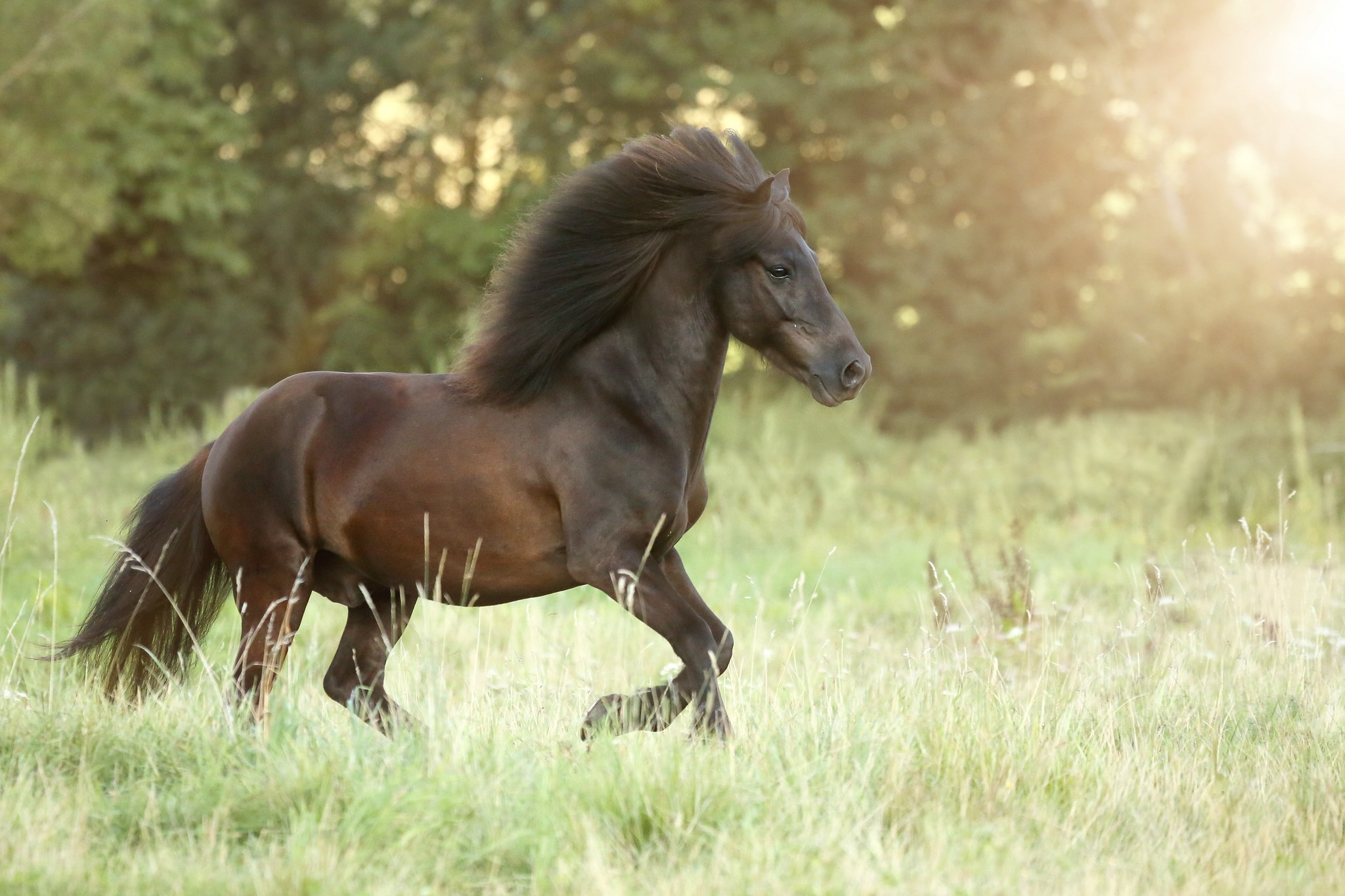 Julia 0381 06082017c 35862529494 o