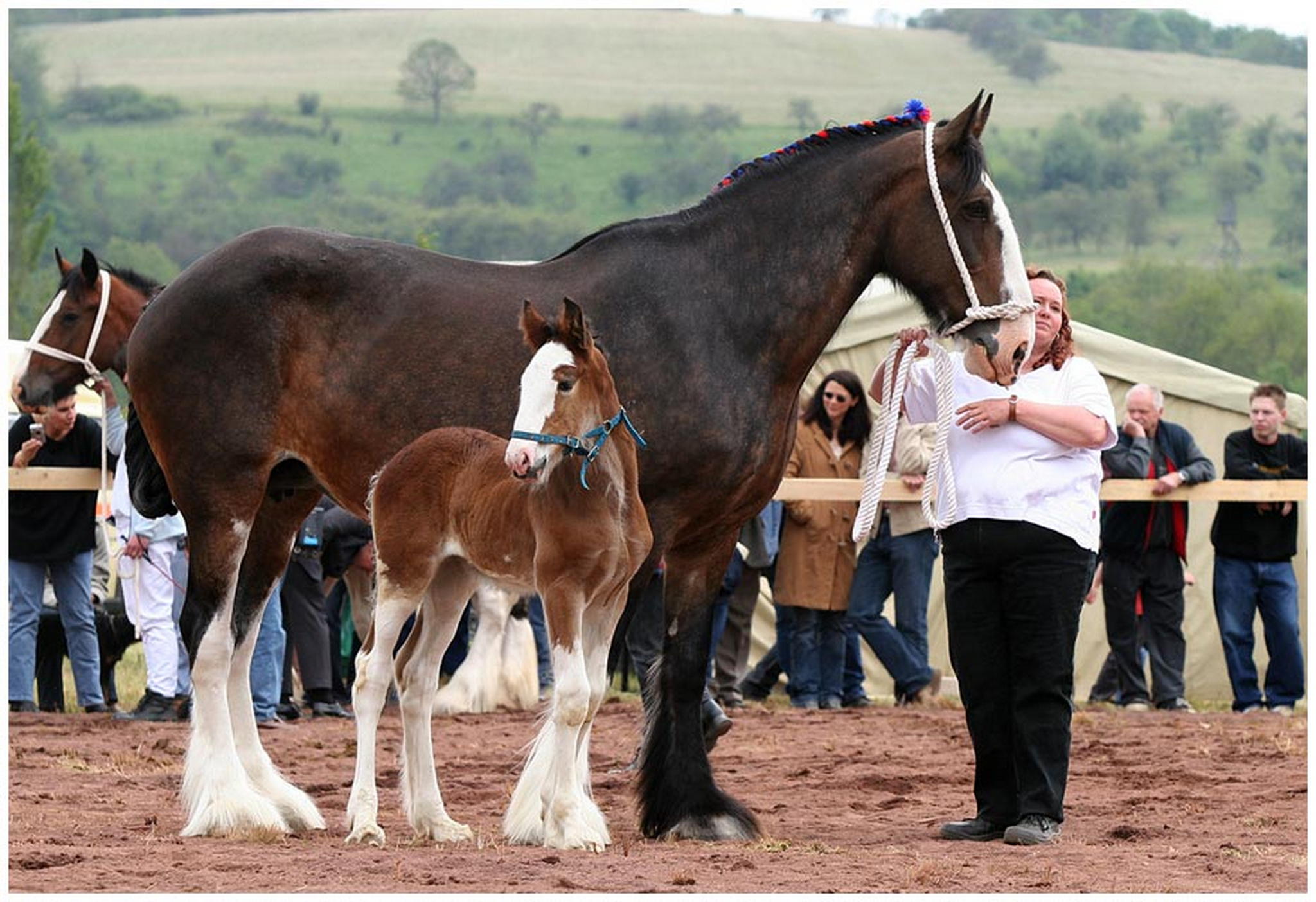 Kleiner riese mit mama 6009700592 o