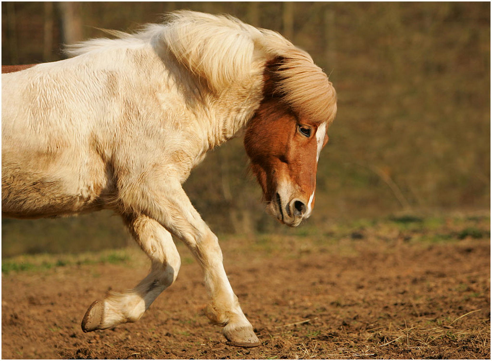 Kopf runter und durch 6001550090 o