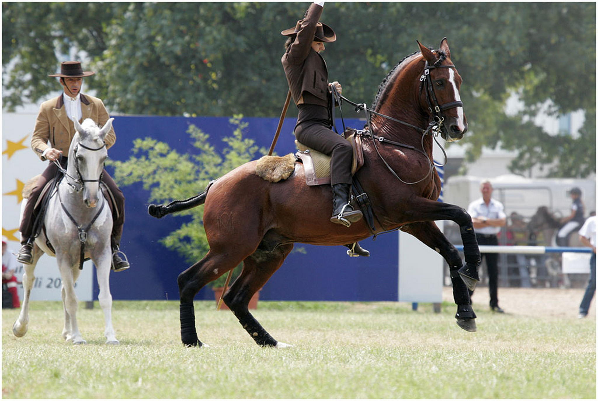 Kuhhirte und edelmann 6001641196 o