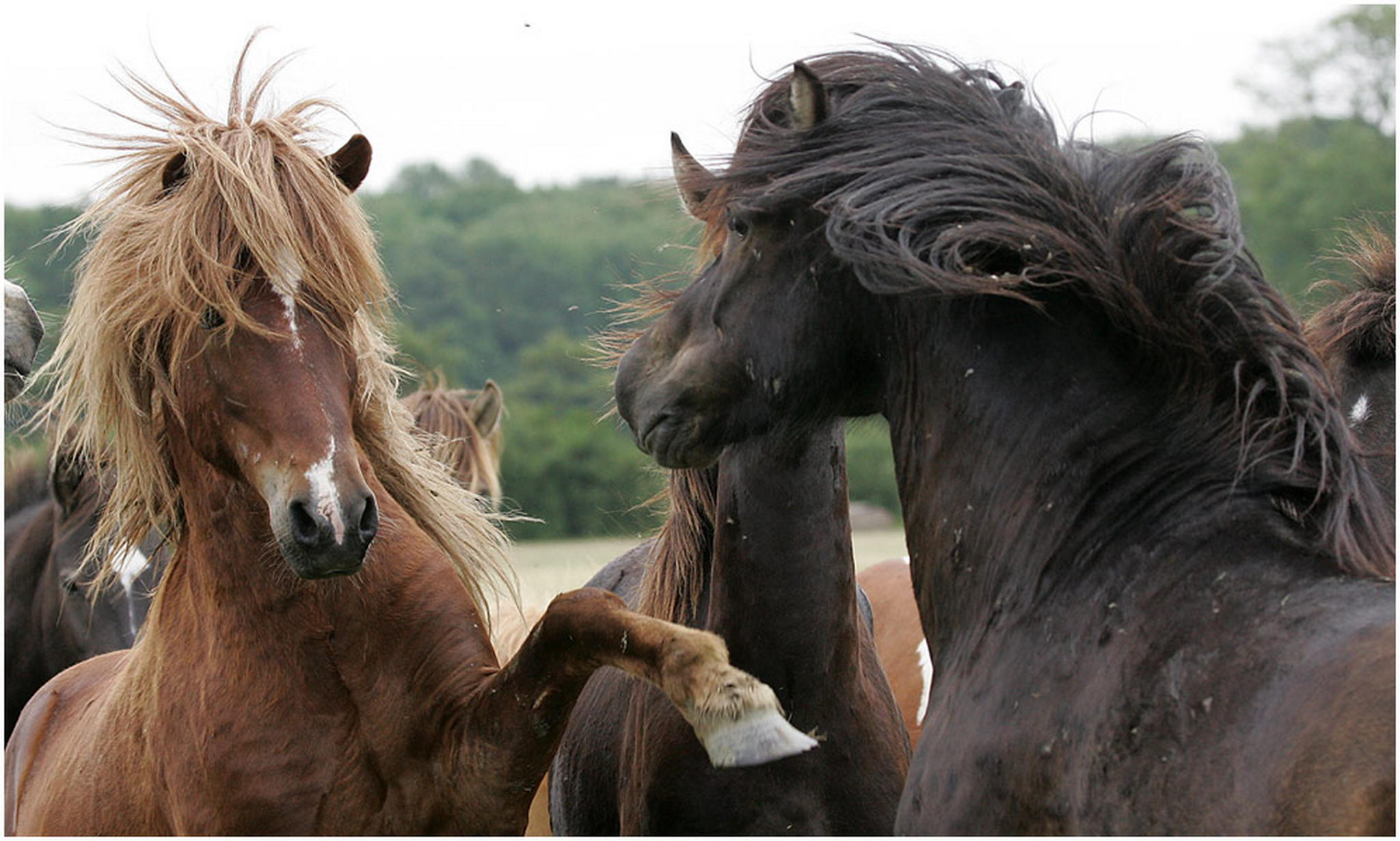 Kurze diskussion 6001105401 o