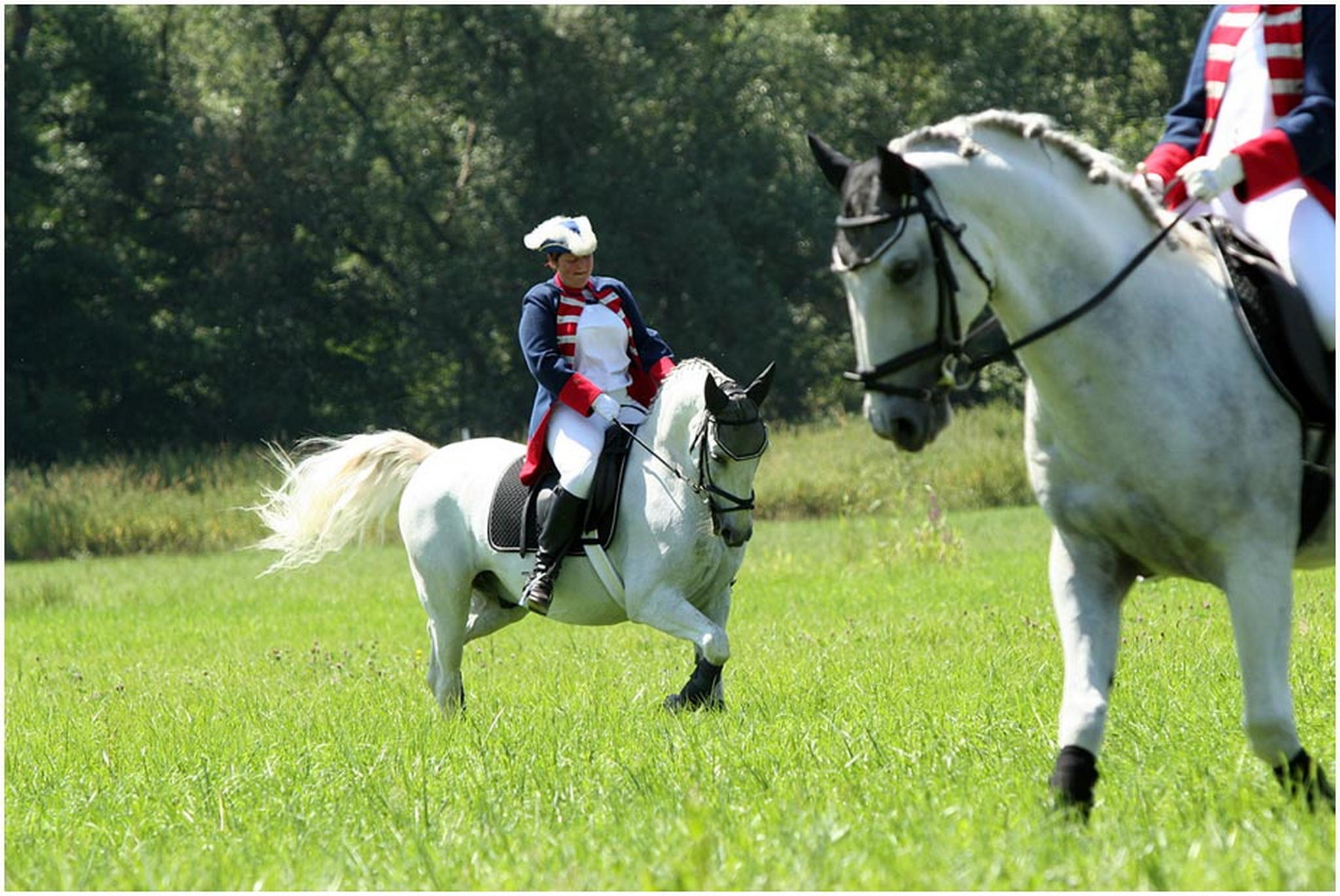 Lipizzanertanz 6009149207 o