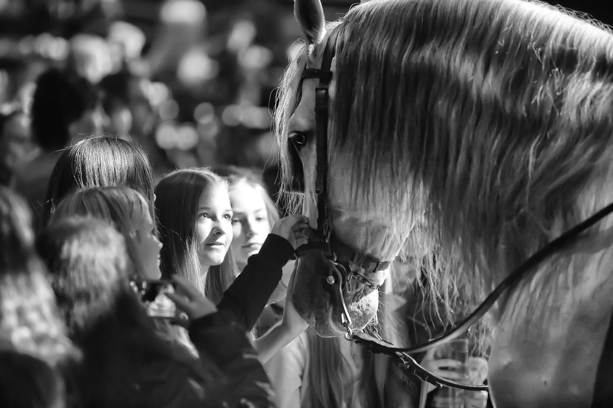 Mdchen und pferde 26106810673 o