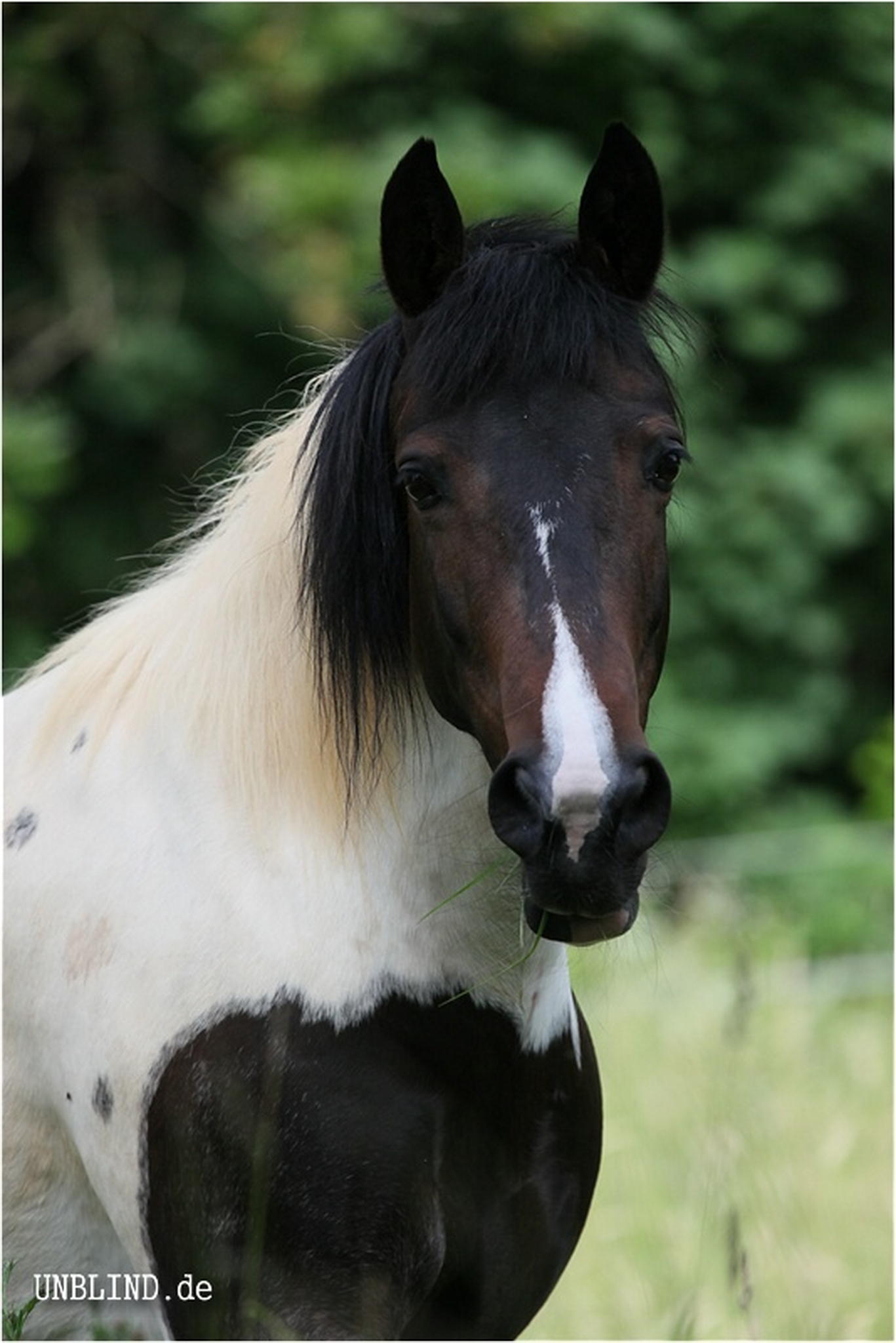 Meine suesse 5998931051 o