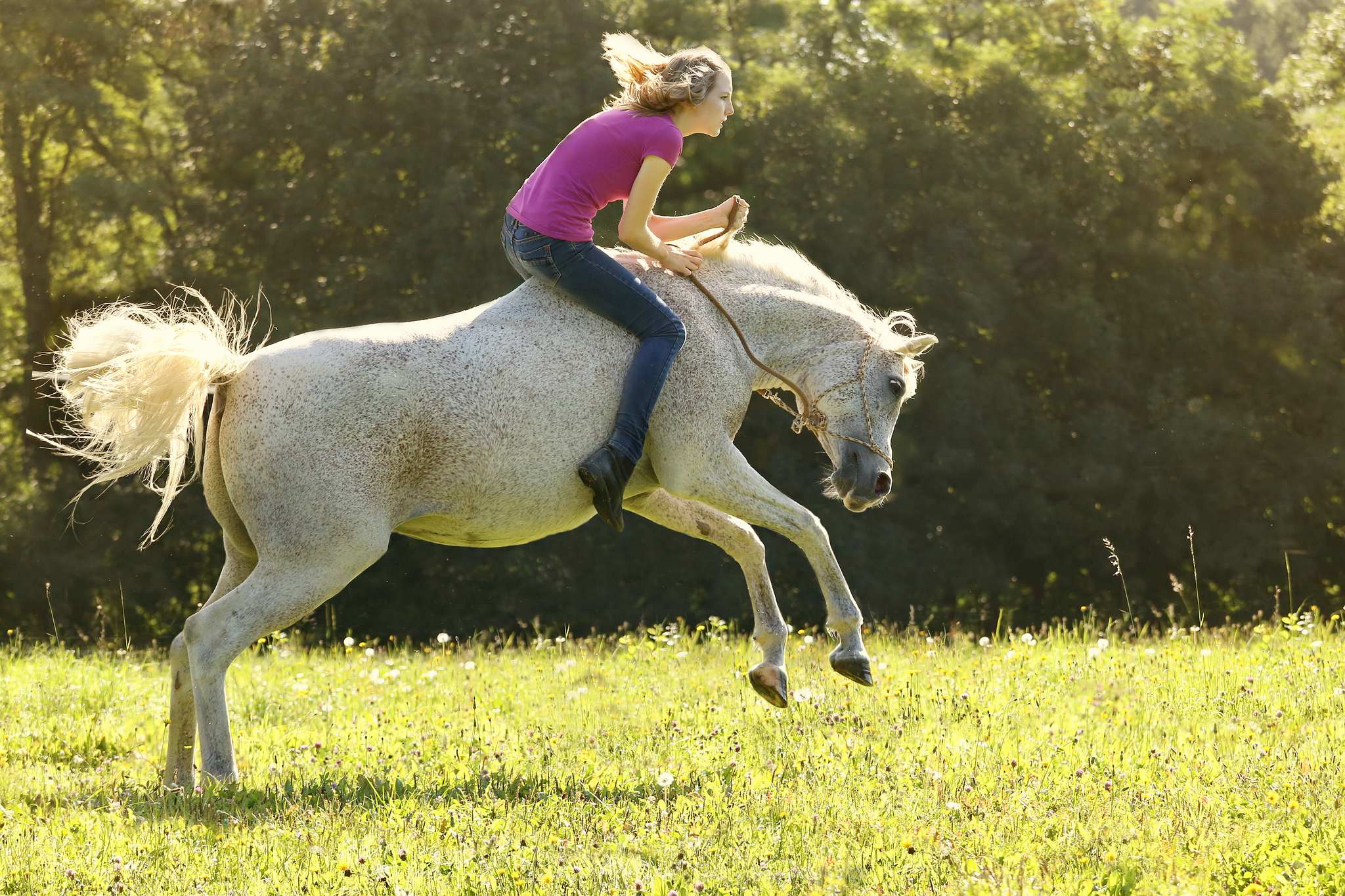 Melanie 7 14921379337 o