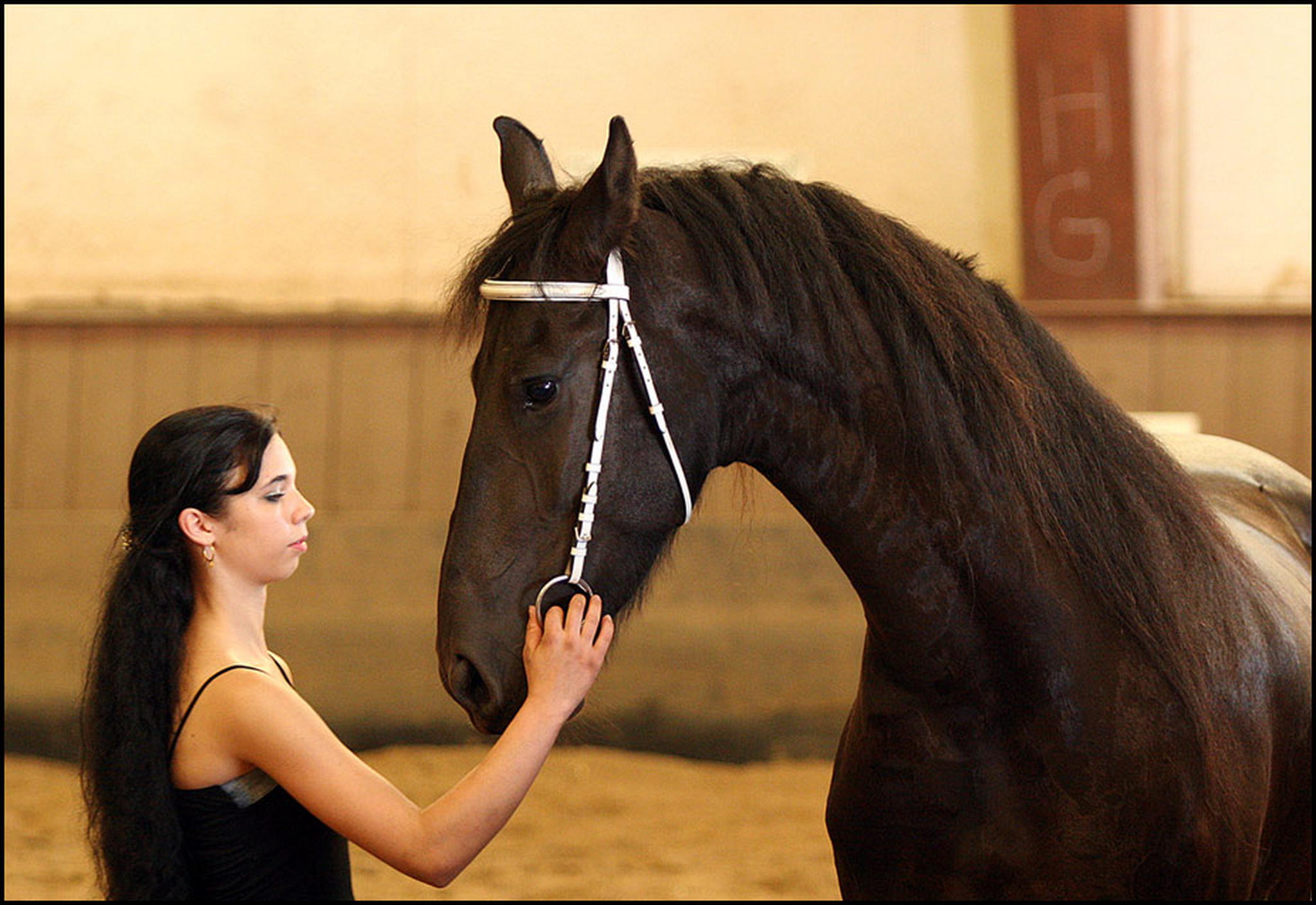 Menschen und pferde 6009149633 o