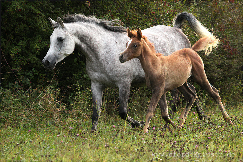 Muessen wir da vorbei 5998921307 o