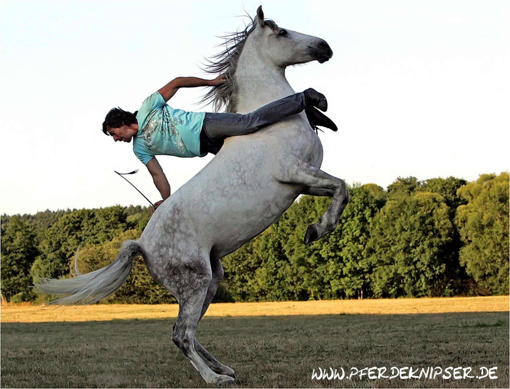 Noch ein pignon leckerbissen 6000761694 o