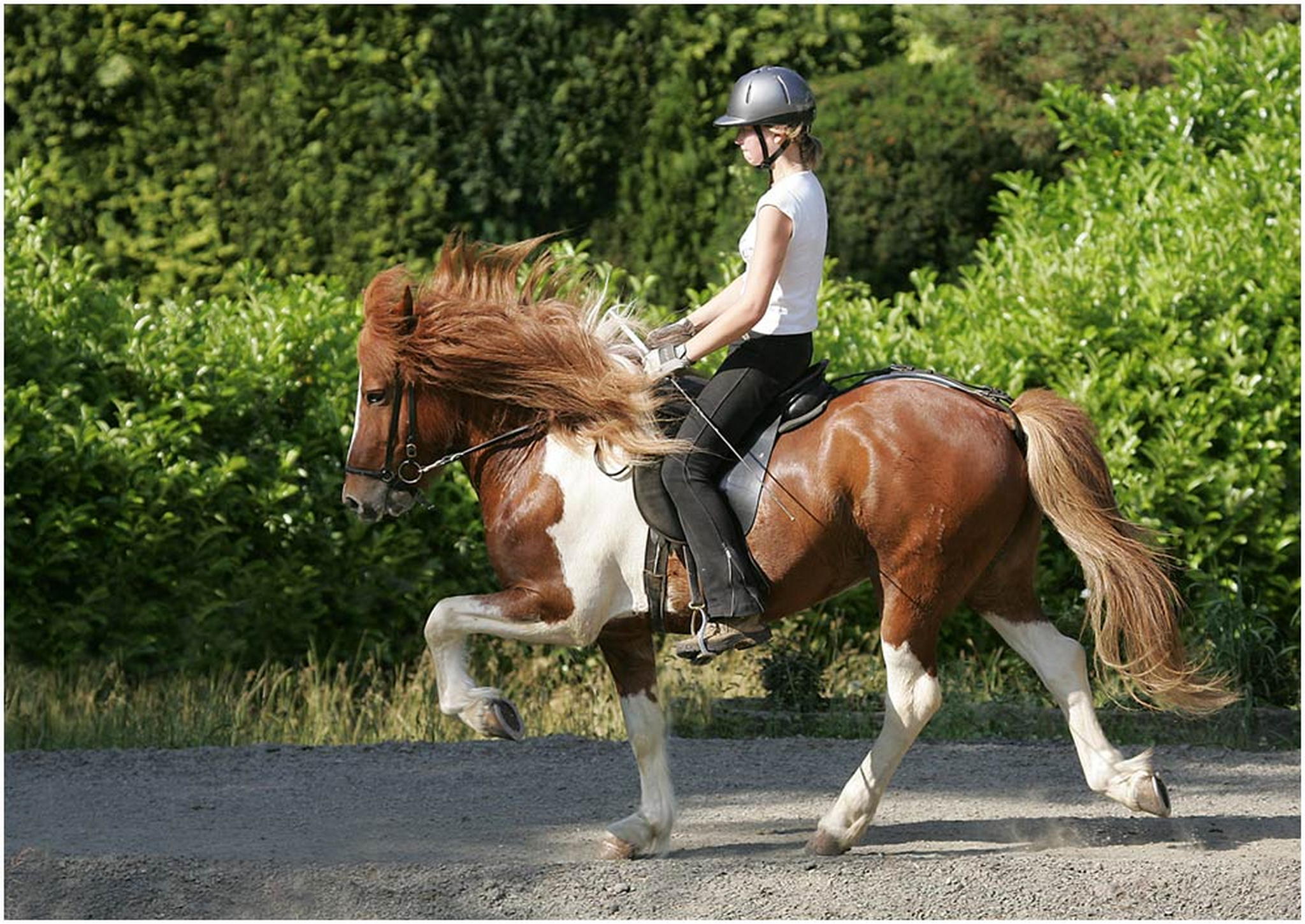 Noch eins fr jenni 6007806473 o