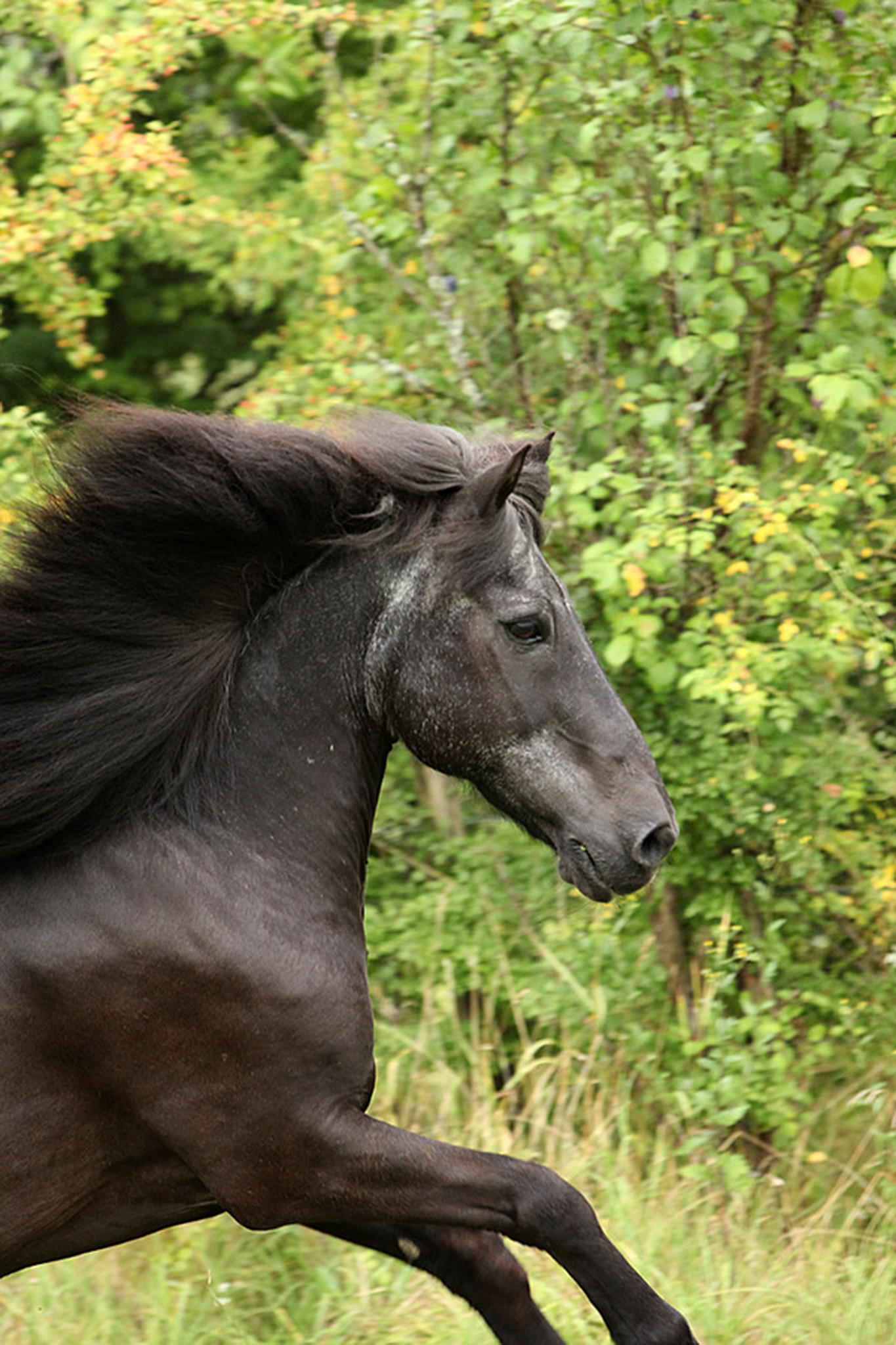 Nochmals gustl 27 lenze 5999470092 o