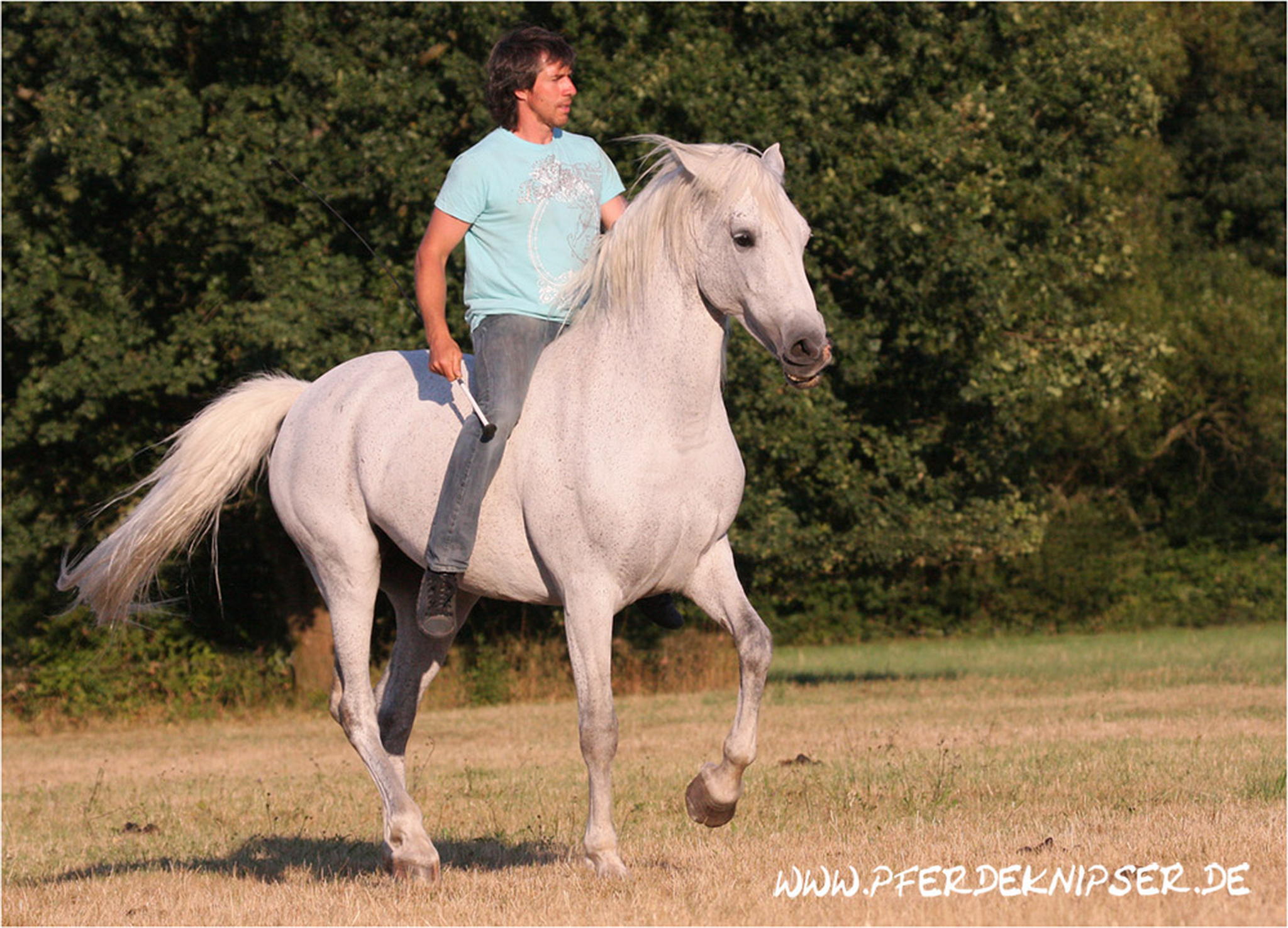 Passage 6000761498 o