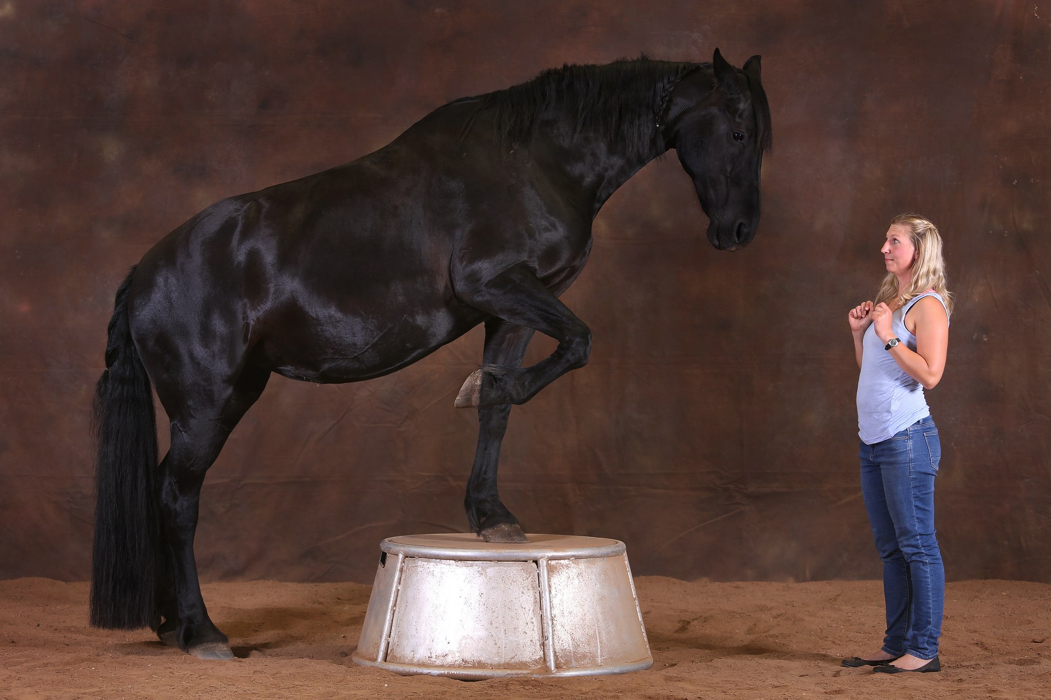 Pebe1492 29316385777 o