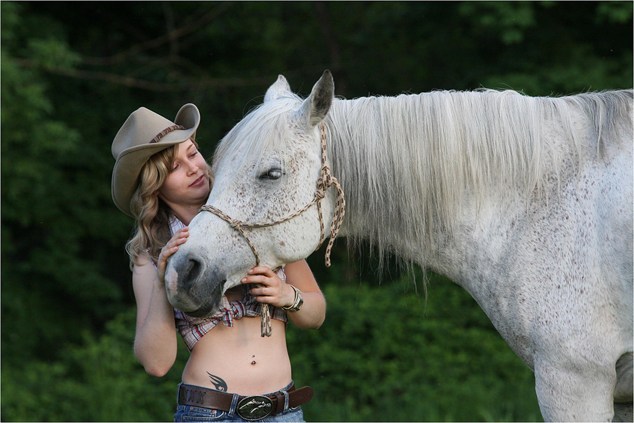 Pferdchen fhlt sich wohl 6001138299 o