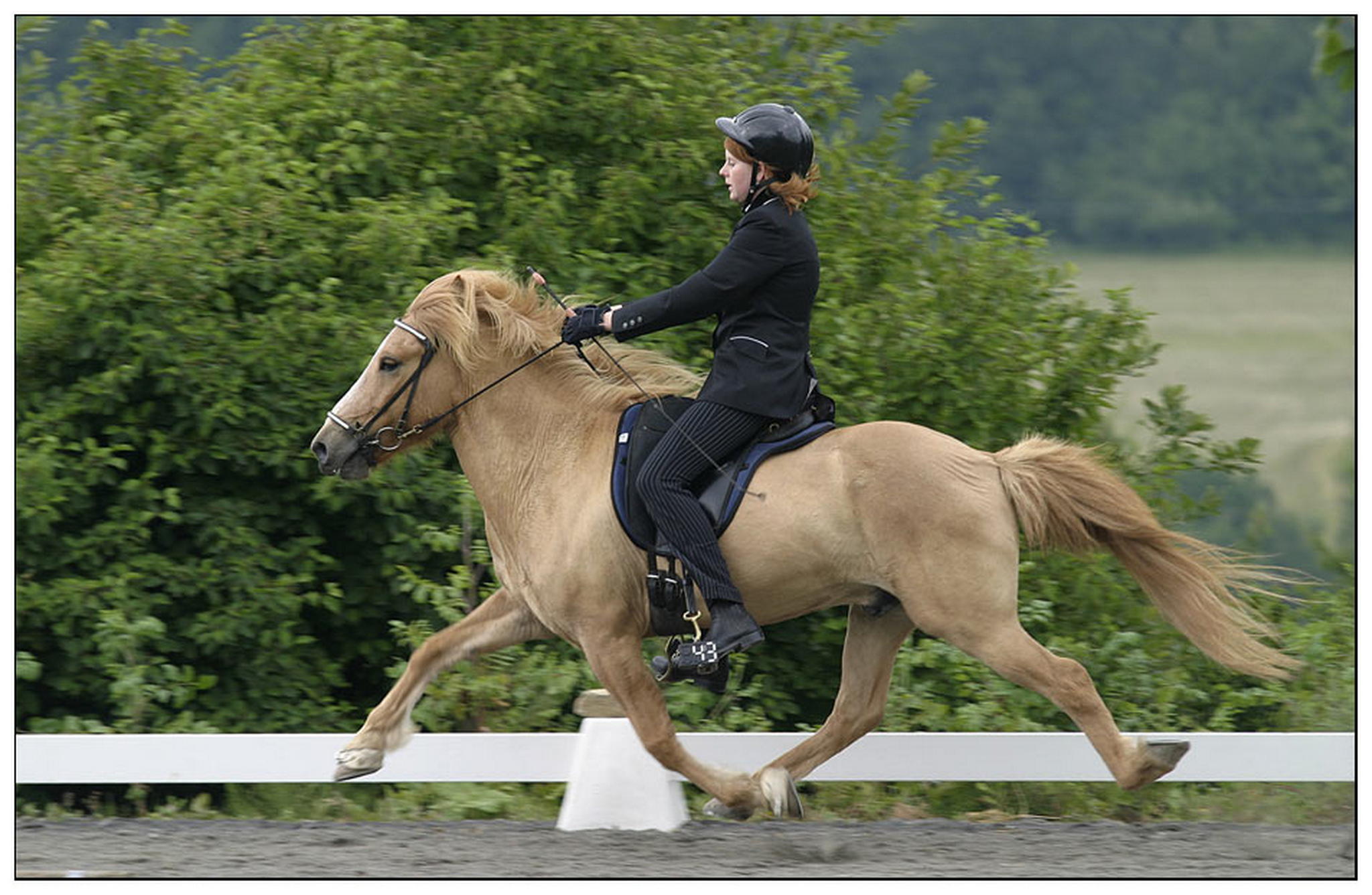 Power da die trnen fliegen 6009289037 o