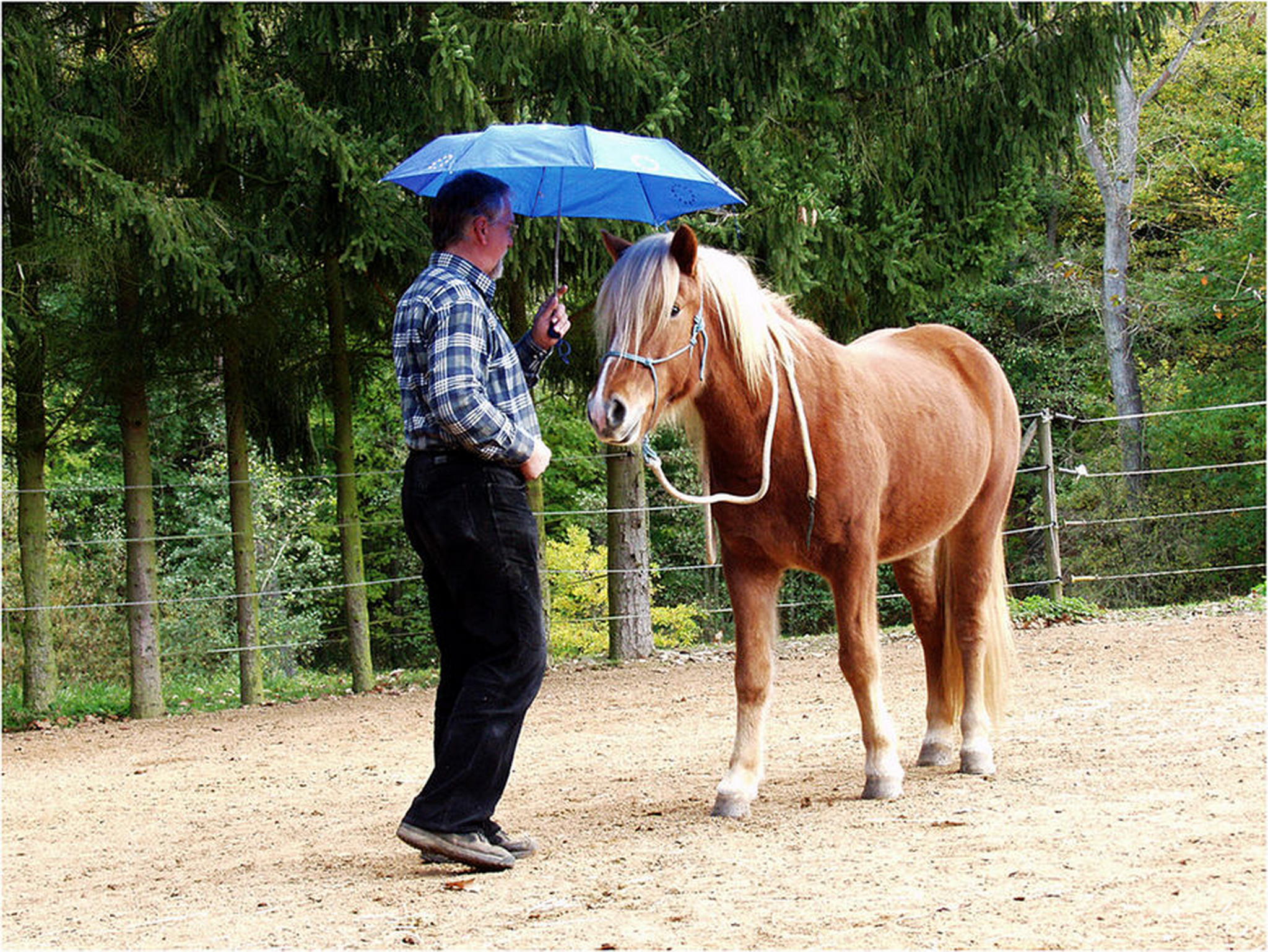 Raukur ist mutig 6011023844 o