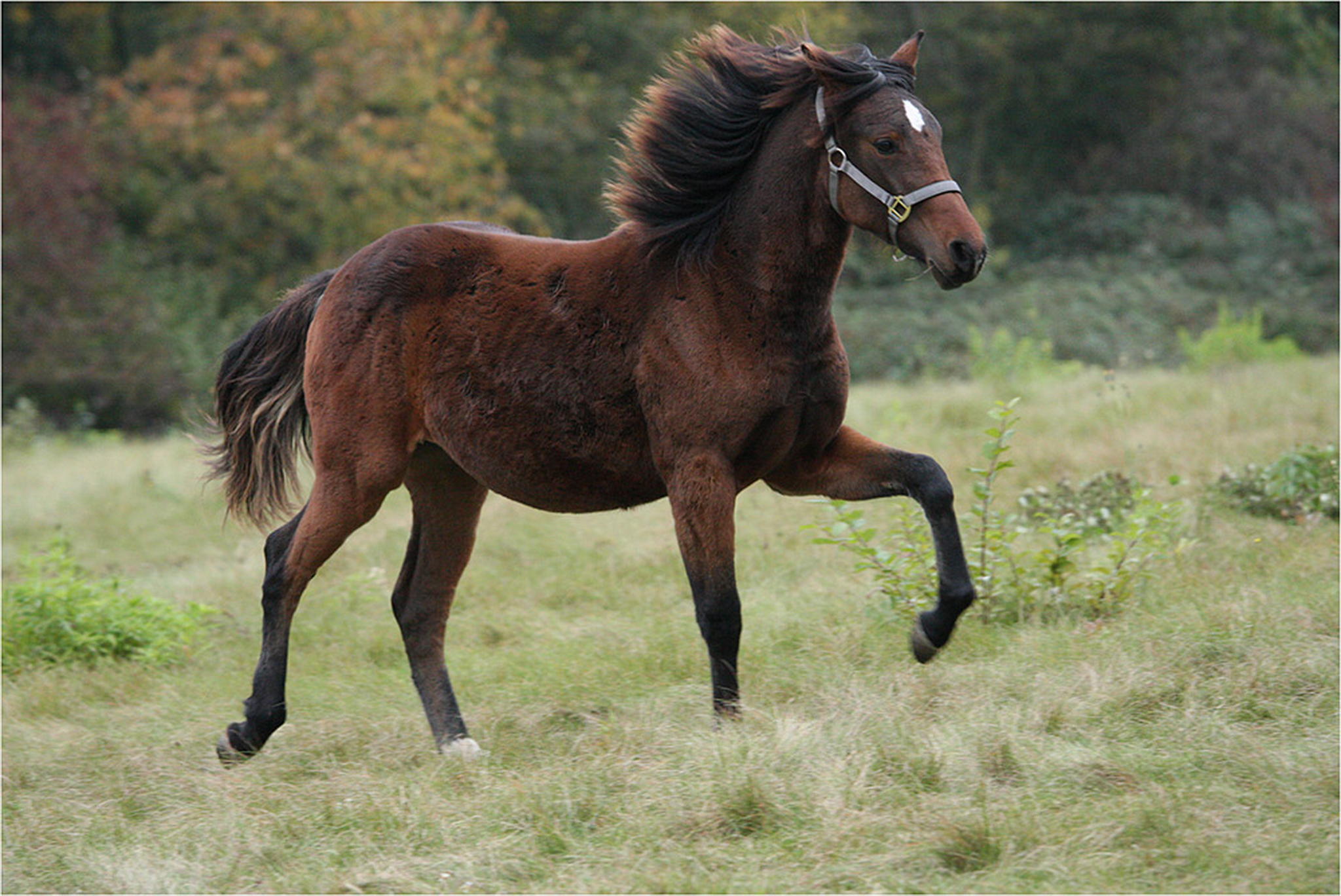 Schon ein bissl toelt 6000383105 o