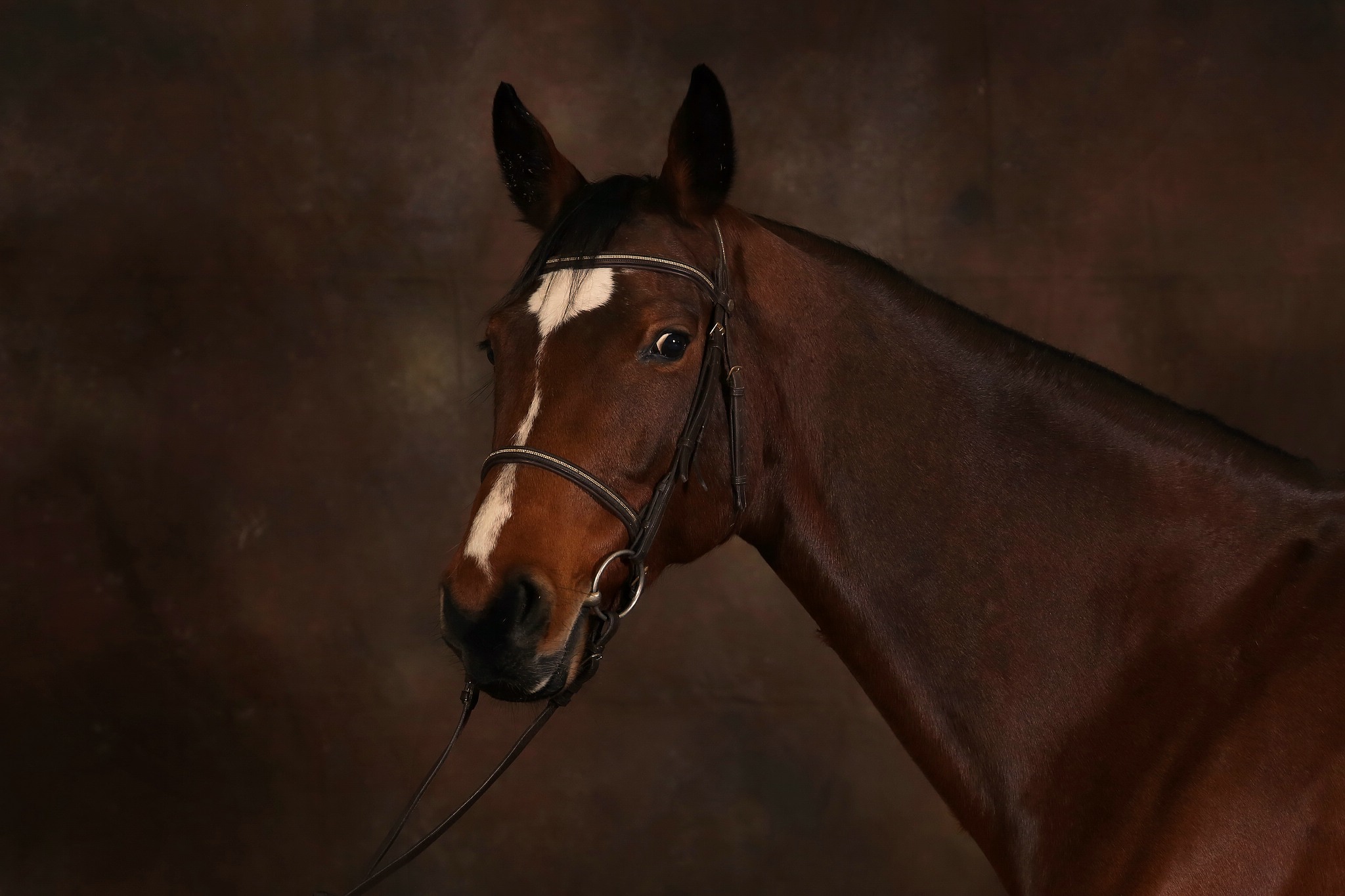 Seraphine 31187194792 o