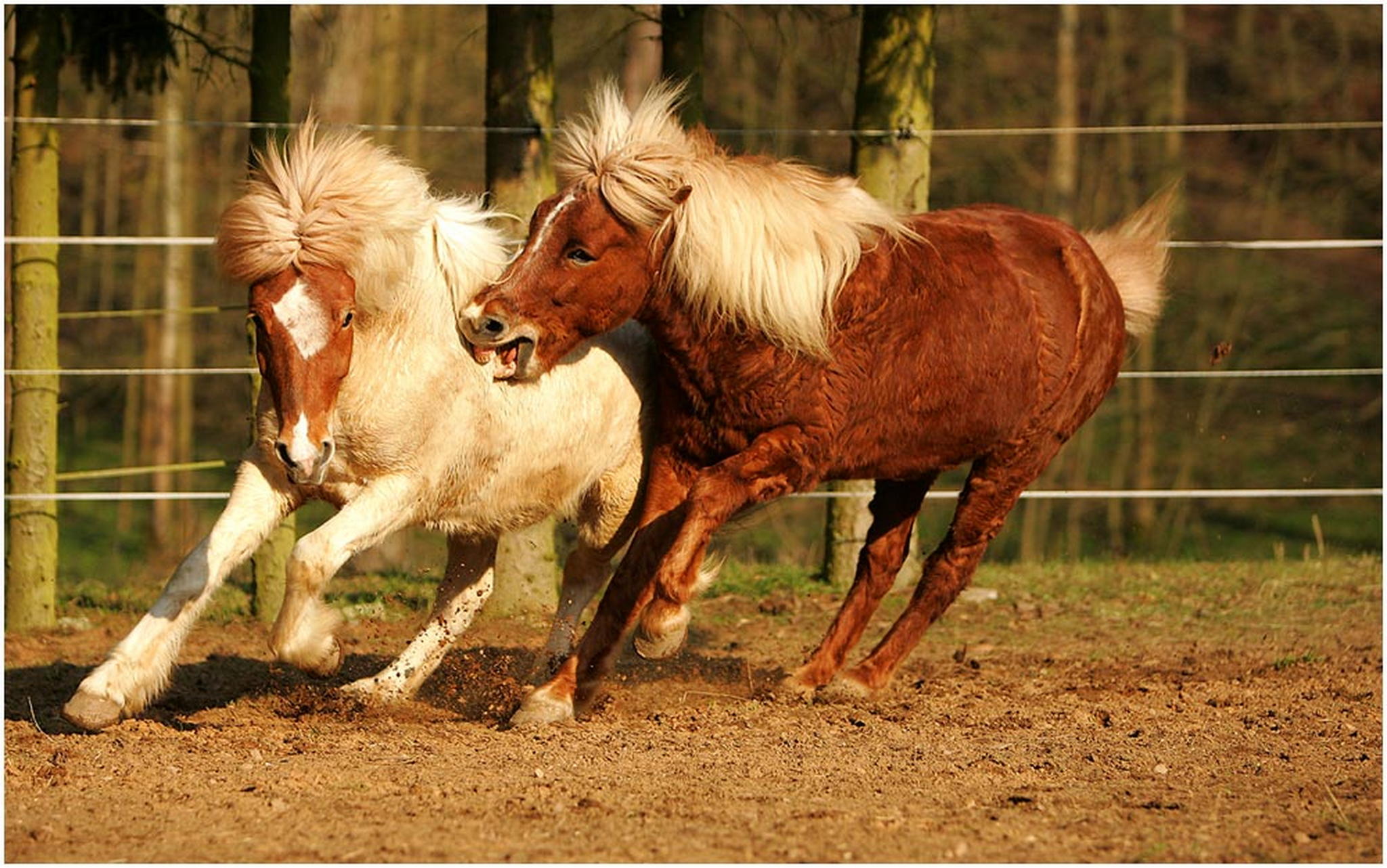 So das wars jetzt mal vorlufig 6001549902 o