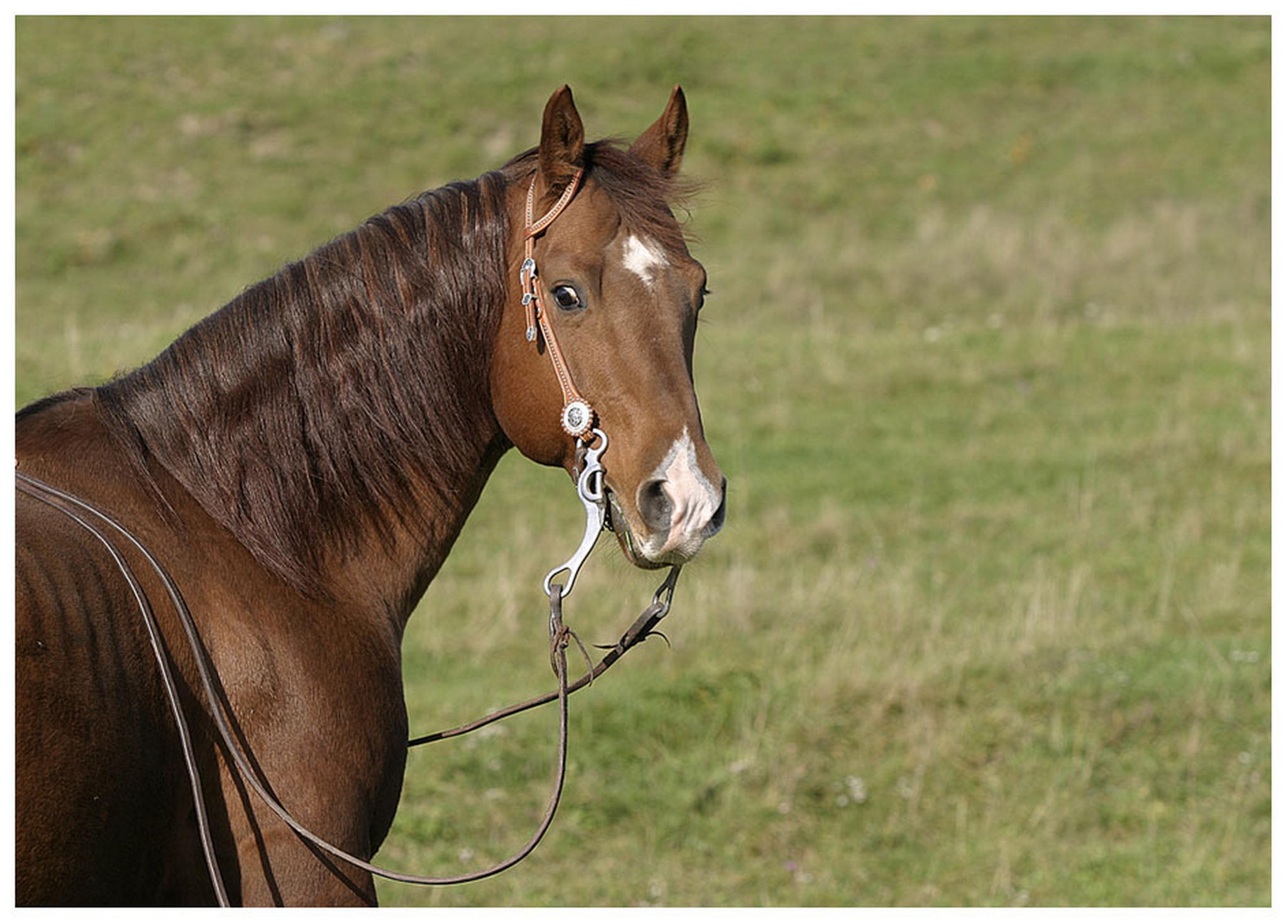 Stehe ich gut so 6009832724 o