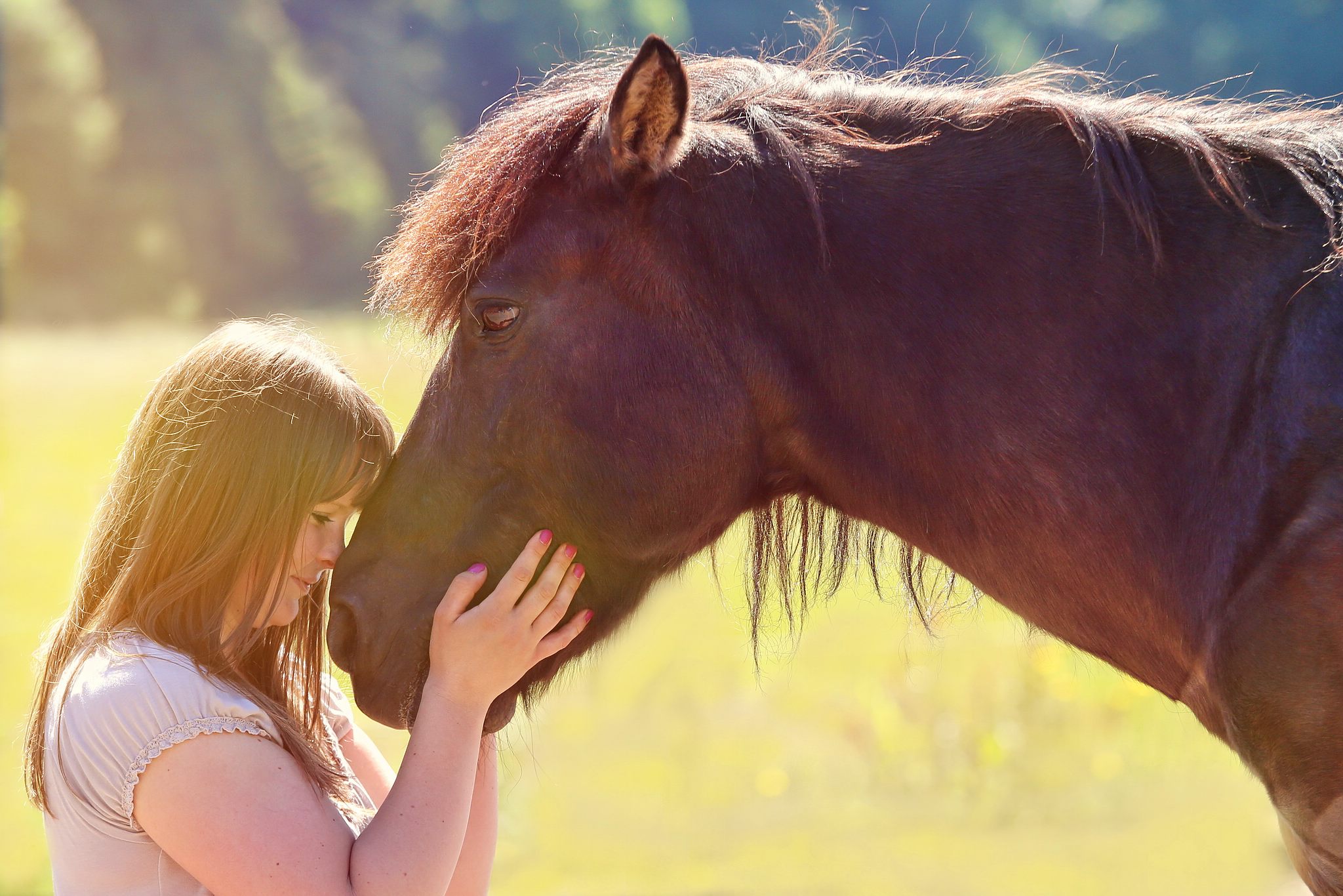 Stephanie und fury 14263048440 o