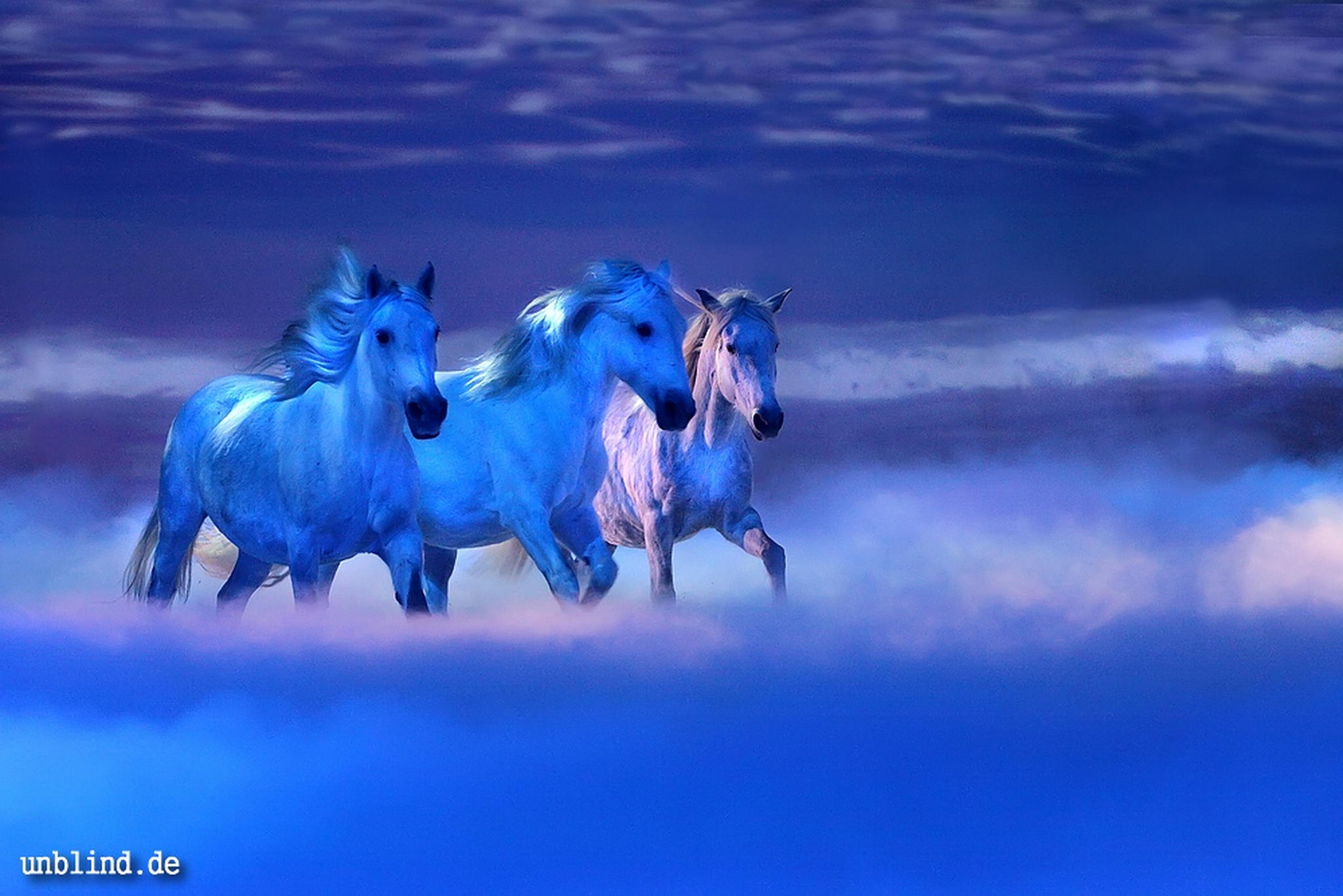 Traumland apassionata 6325971504 o