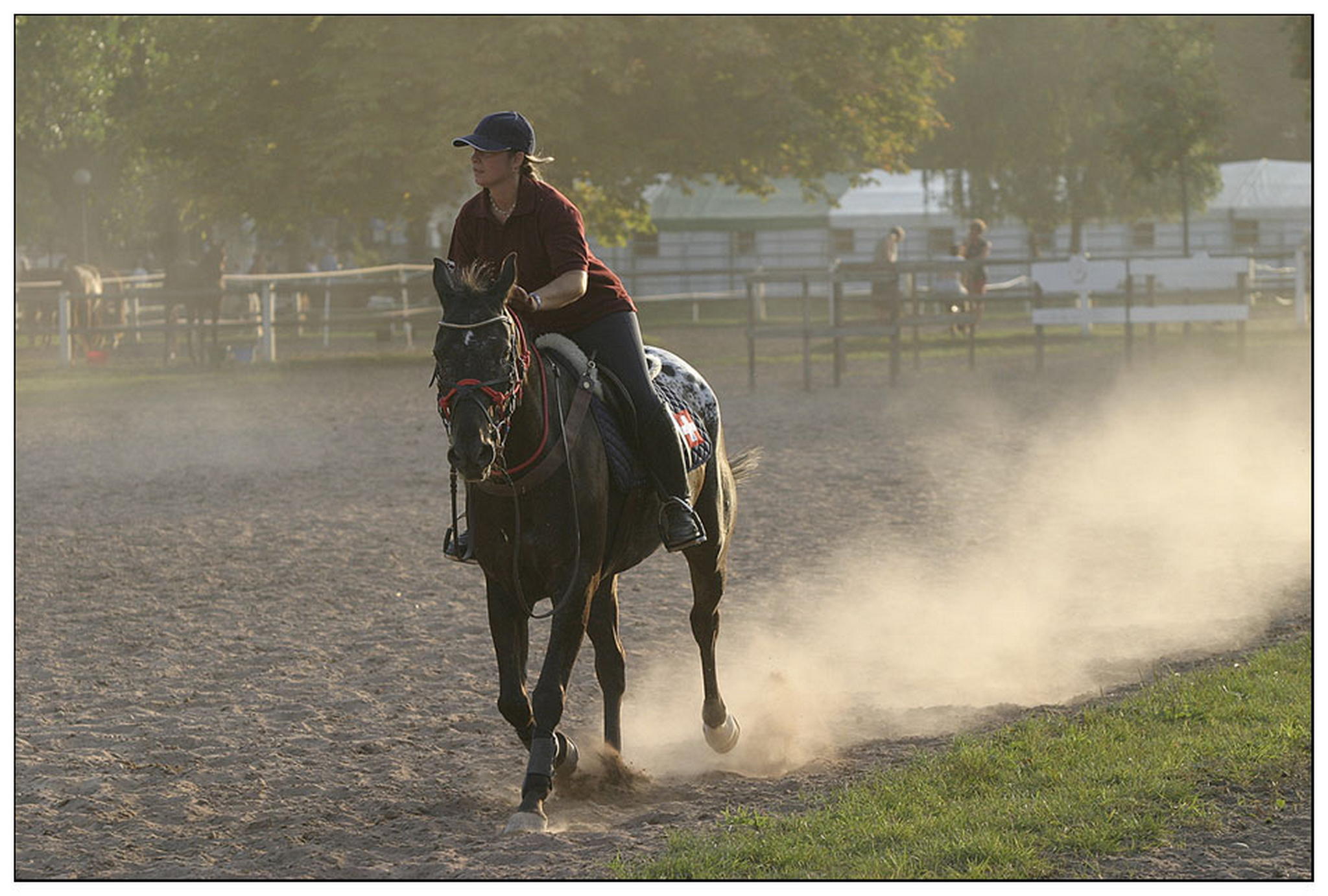 Trec 2004 die wanderreiter wm 6009285619 o