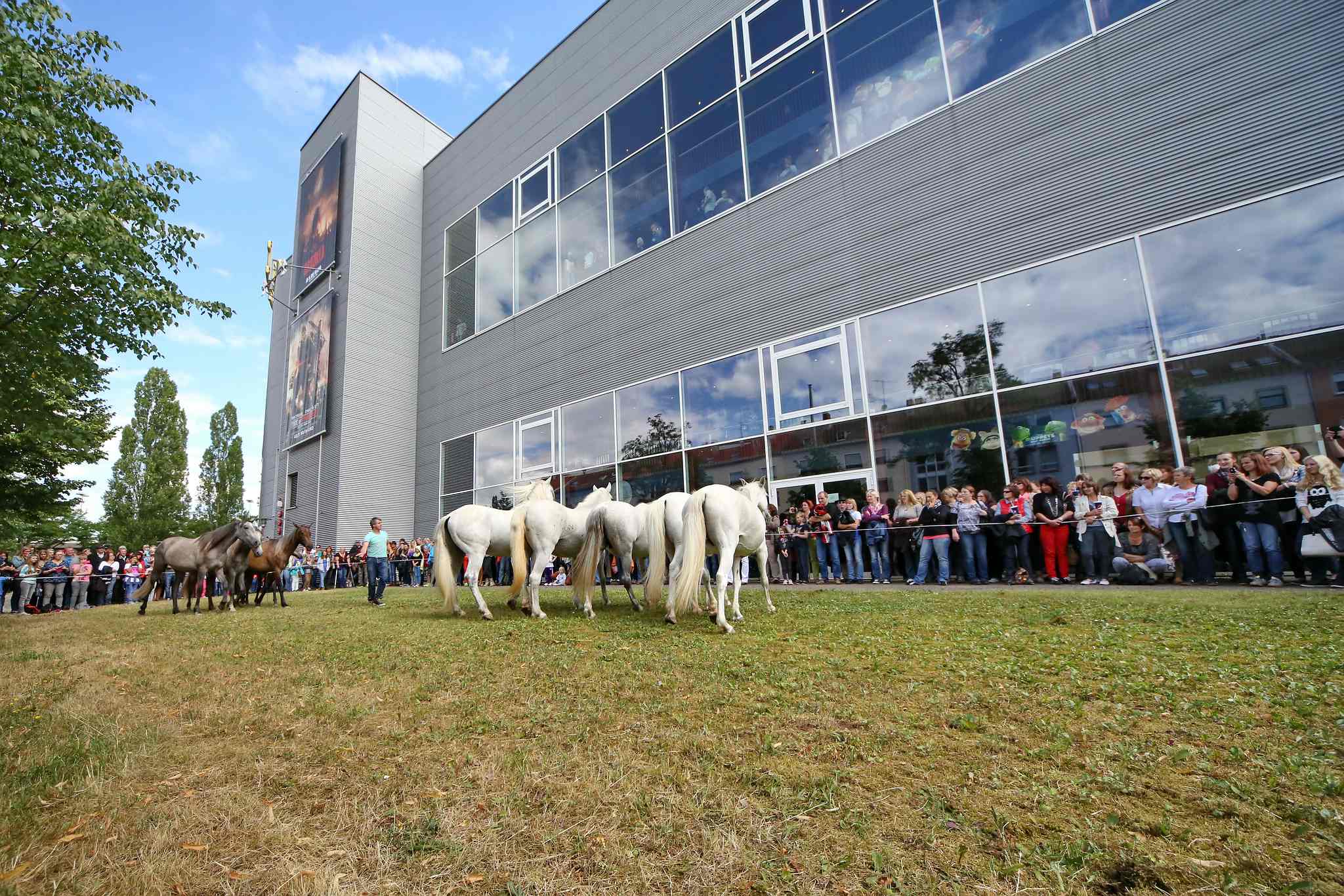 Unb 0027 14537613211 o