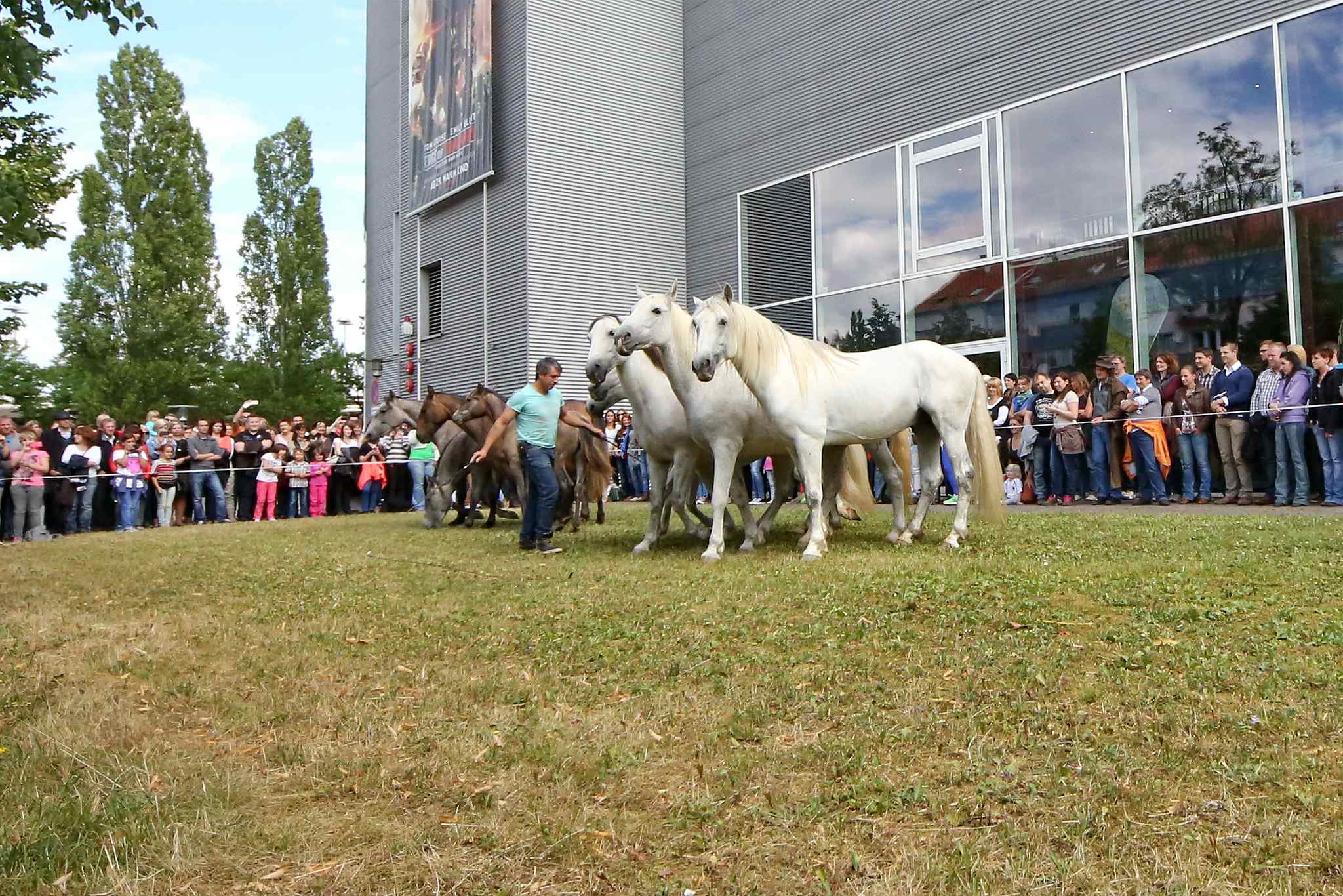 Unb 0031 14561123373 o