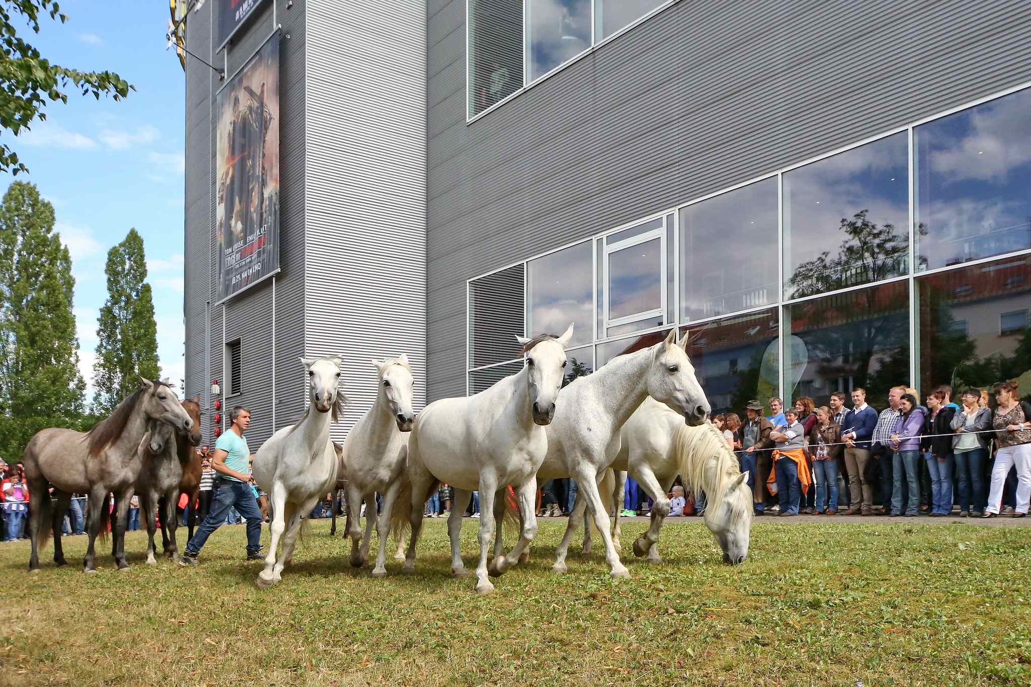 Unb 0057 14537614421 o