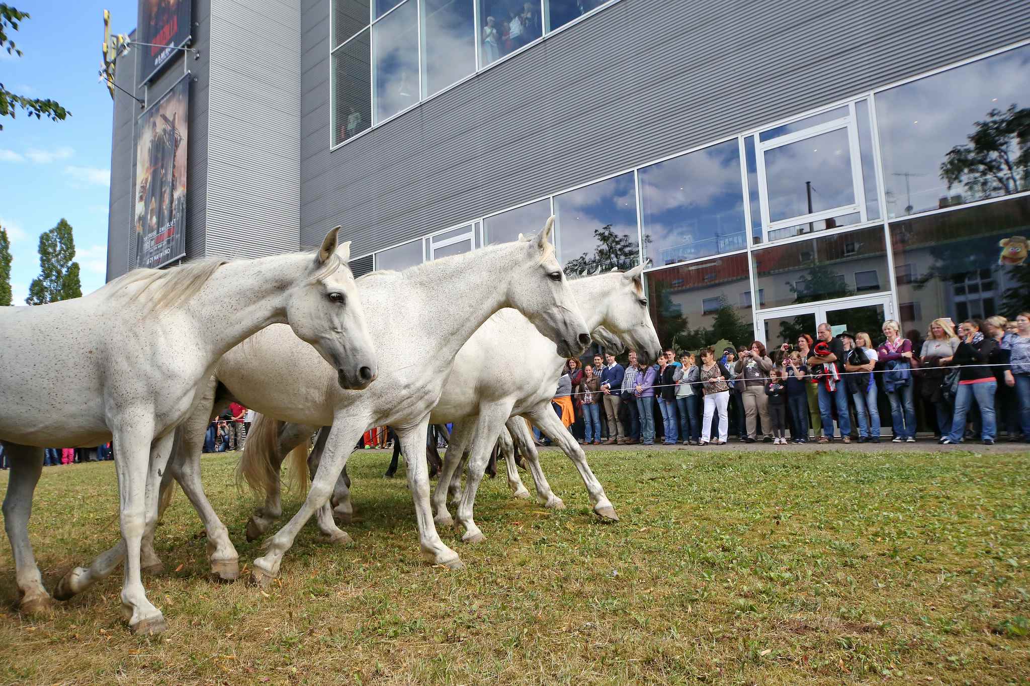 Unb 0082 14354363750 o