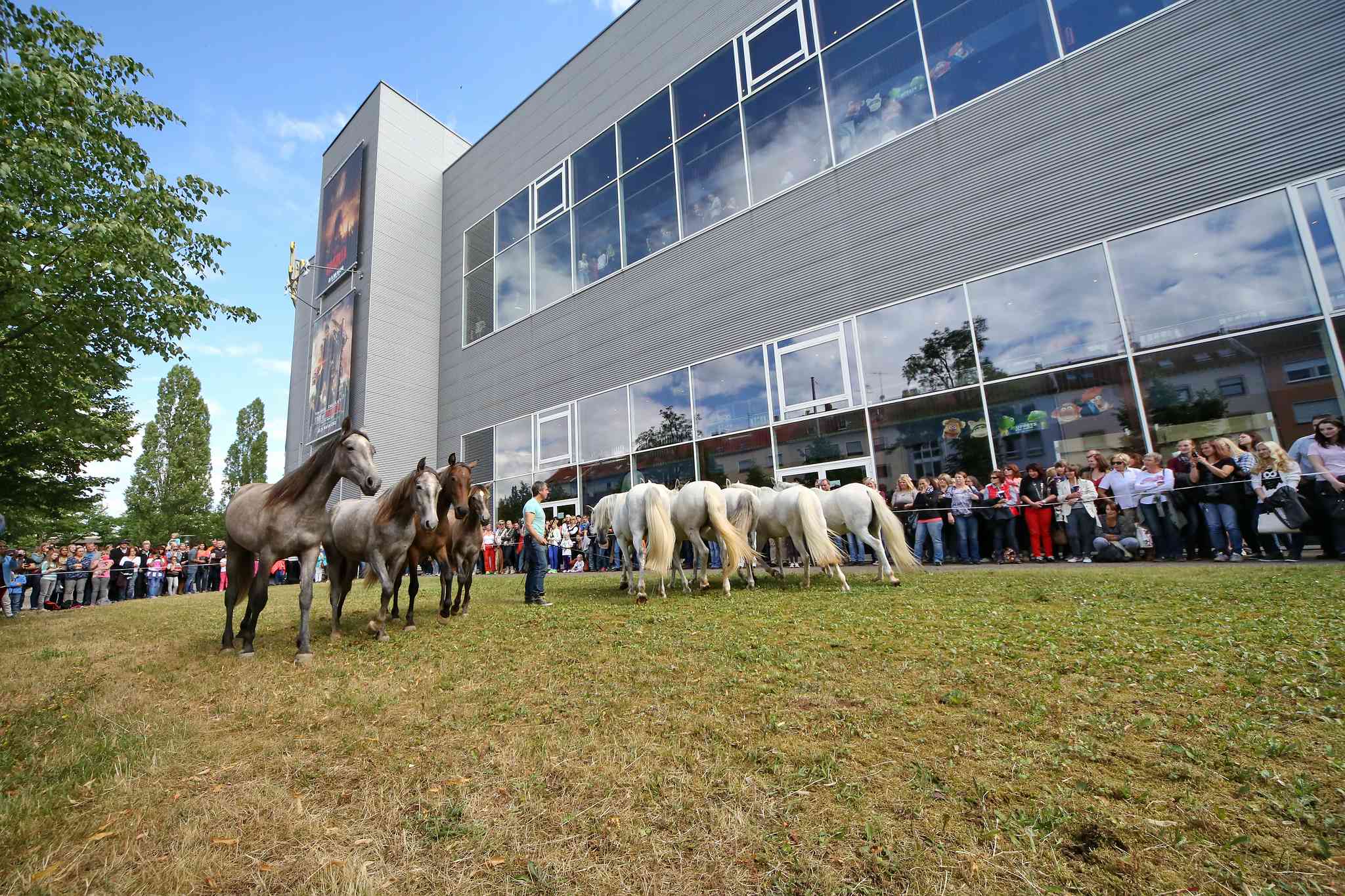 Unb 0093 14539506834 o