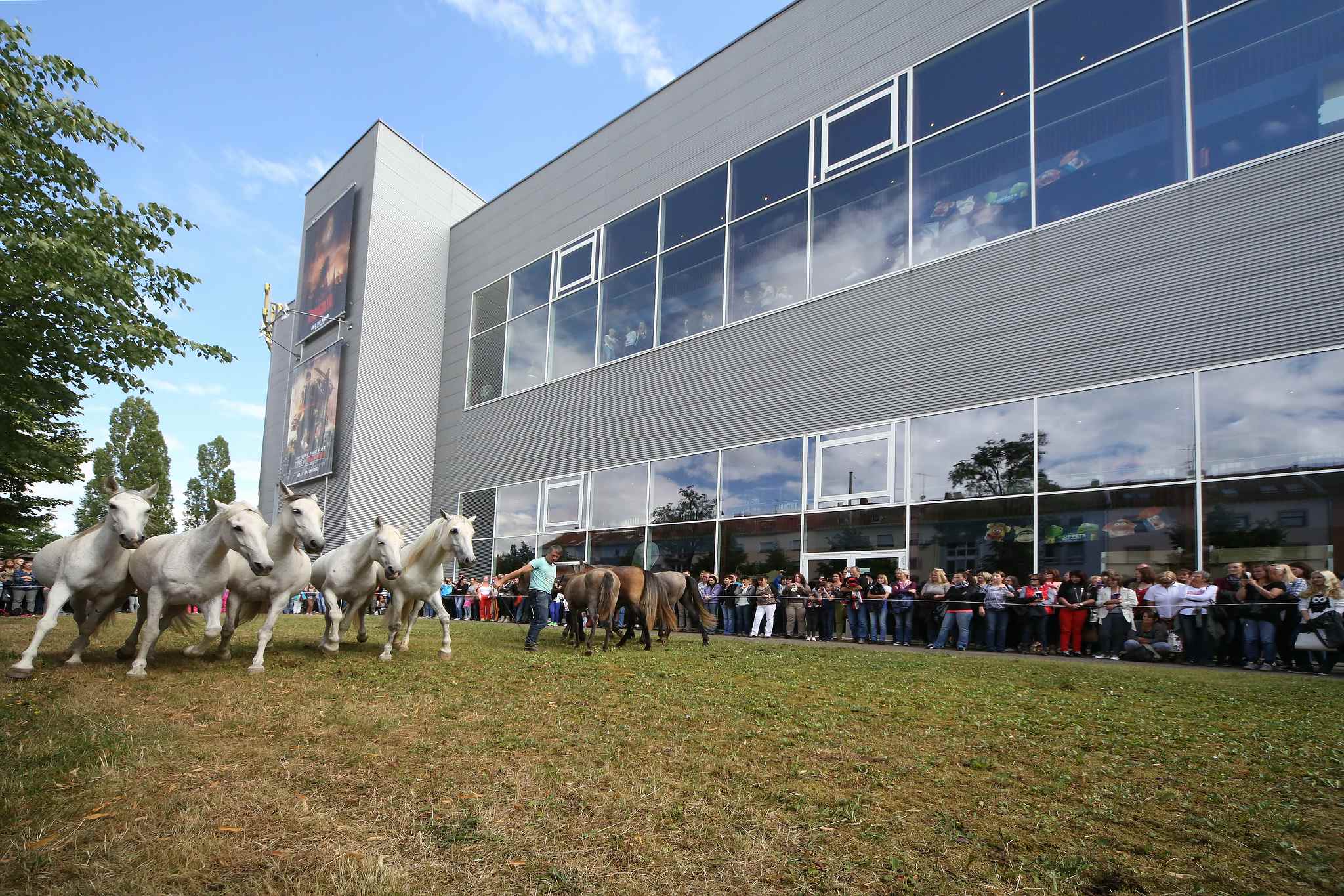 Unb 0099 14354554437 o