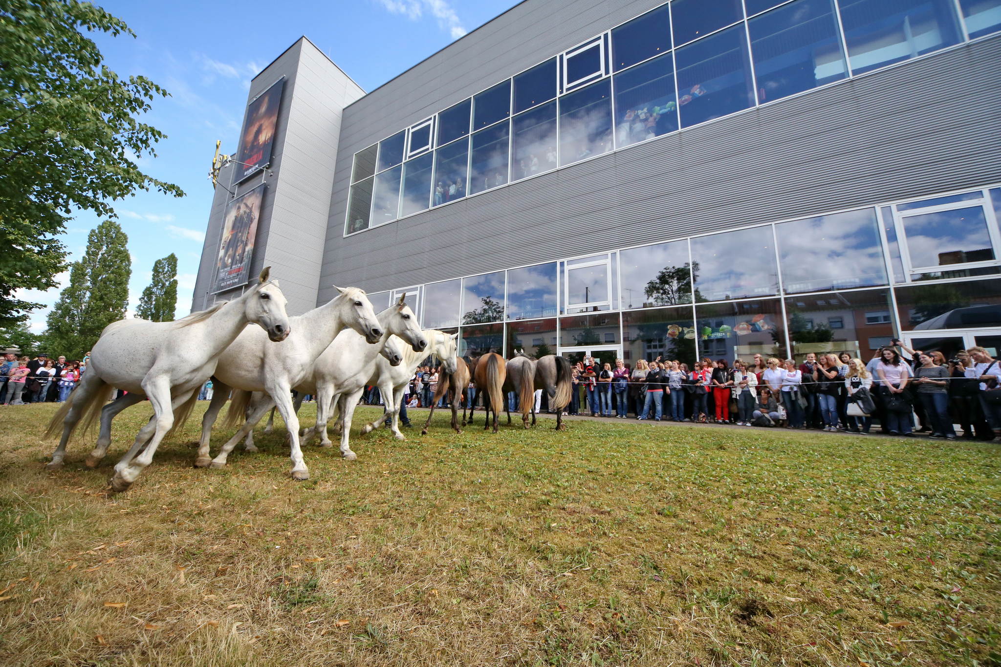 Unb 0111 14354404819 o