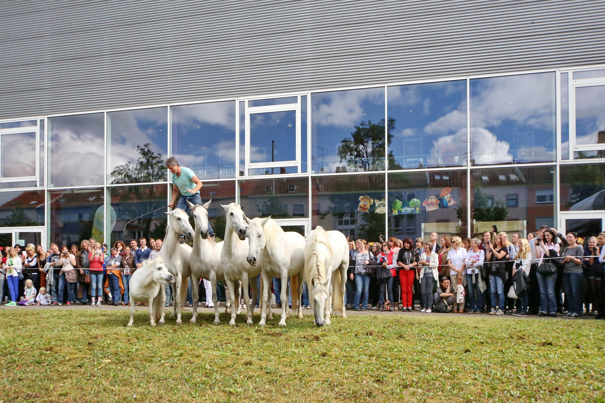 Unb 0399 14537627651 o