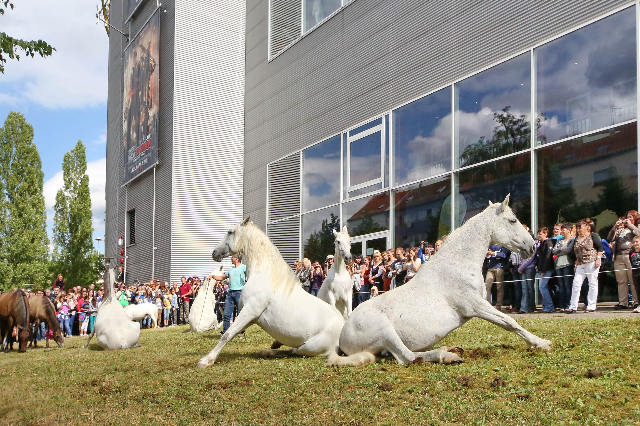 Unb 0483b 14561144153 o