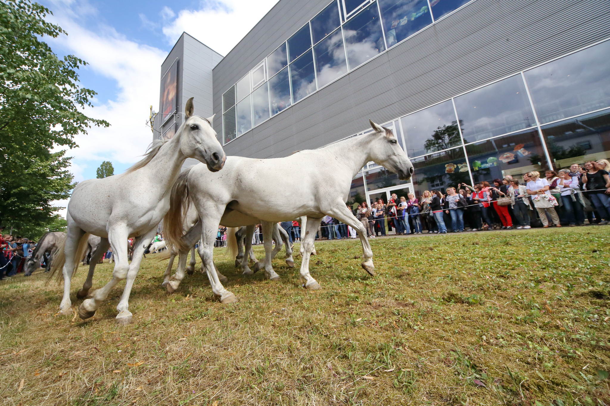 Unb 0497 14539522754 o