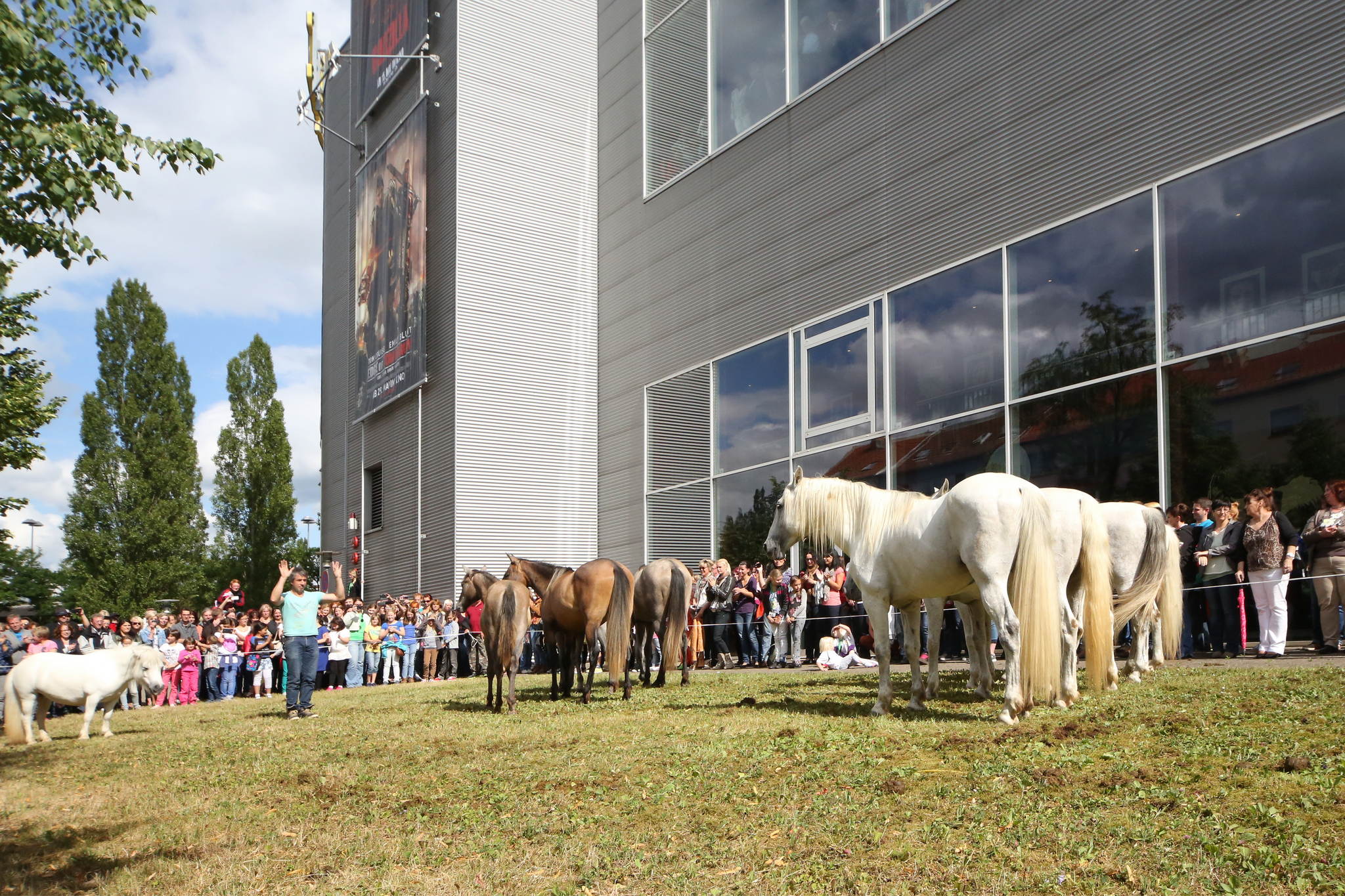 Unb 0513 14541022975 o