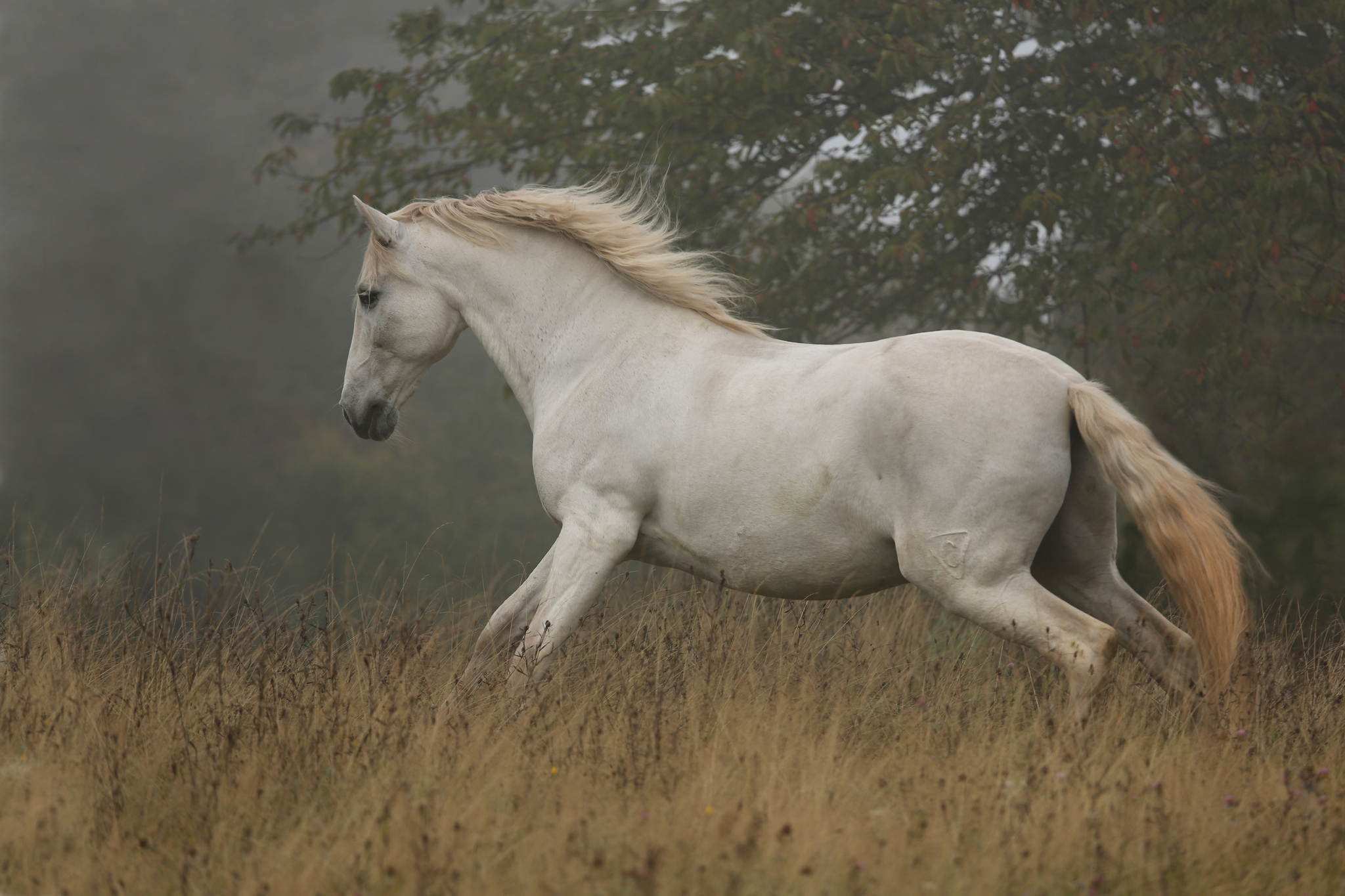 Unb 4312 15260017802 o