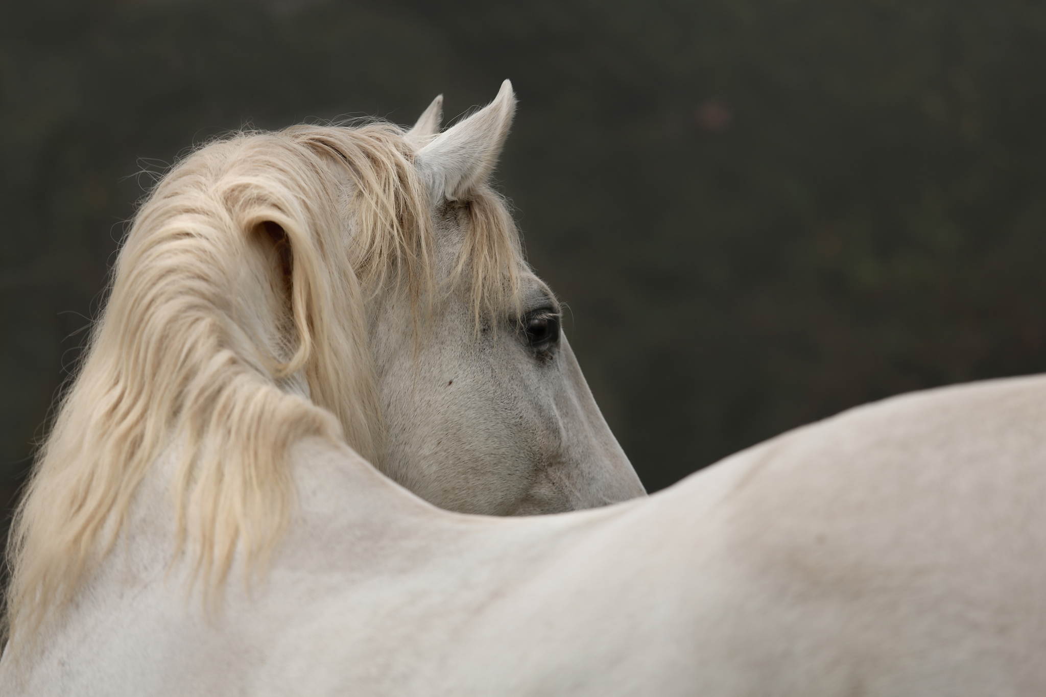 Unb 4398 15073845978 o