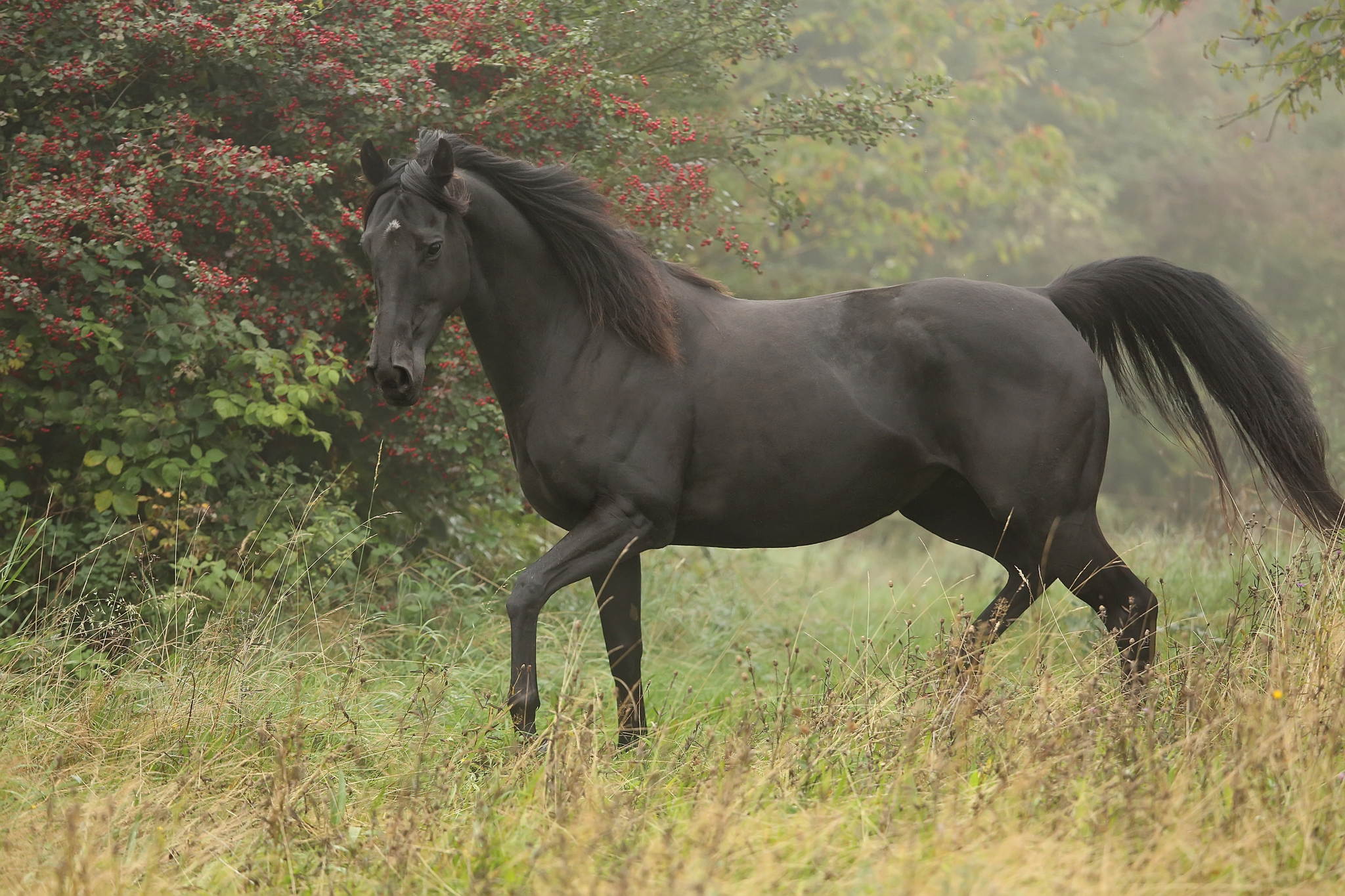 Unb 4632 15073839287 o